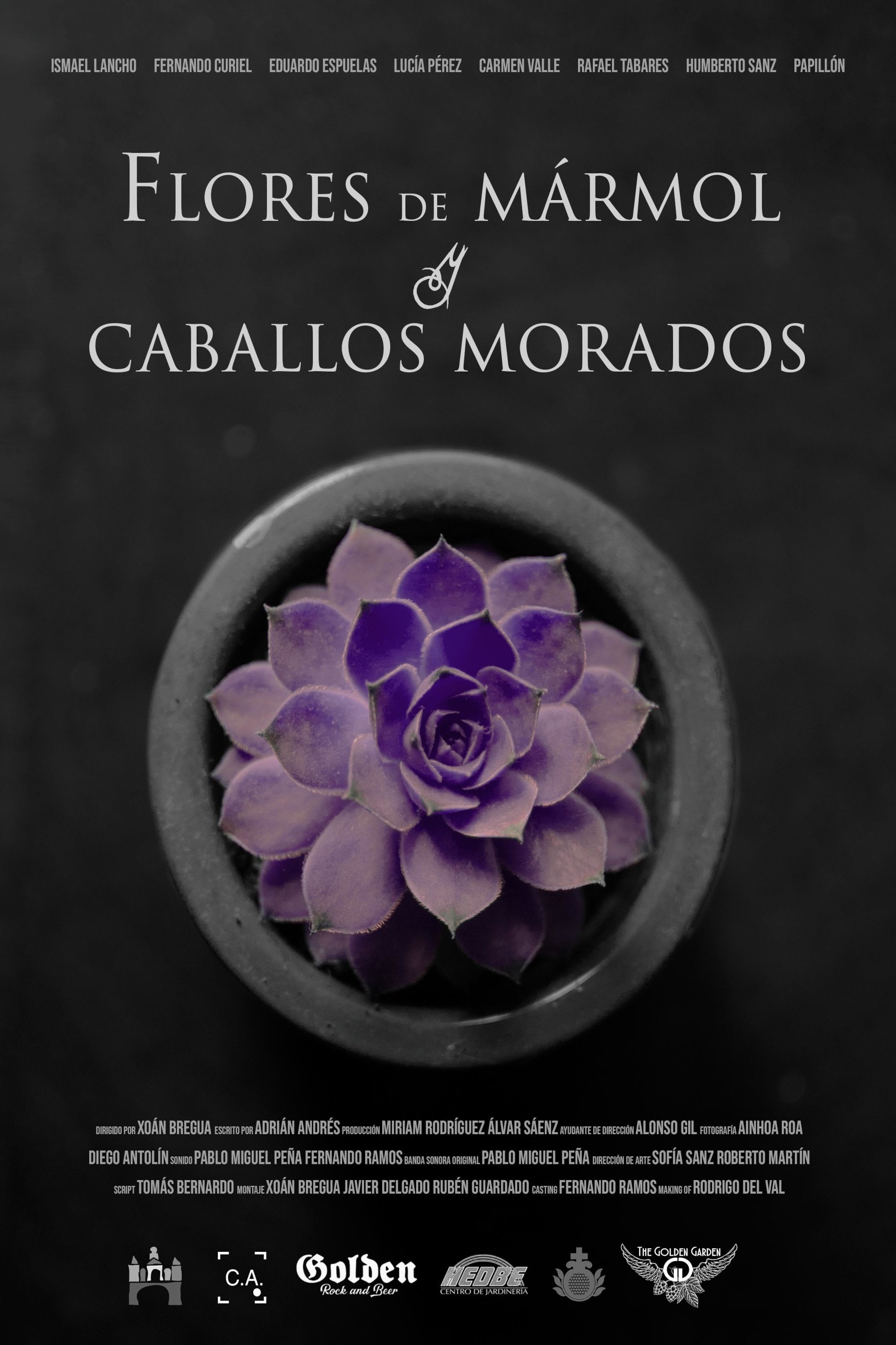 Flores de mármol y caballos morados - Bild 1 von 2