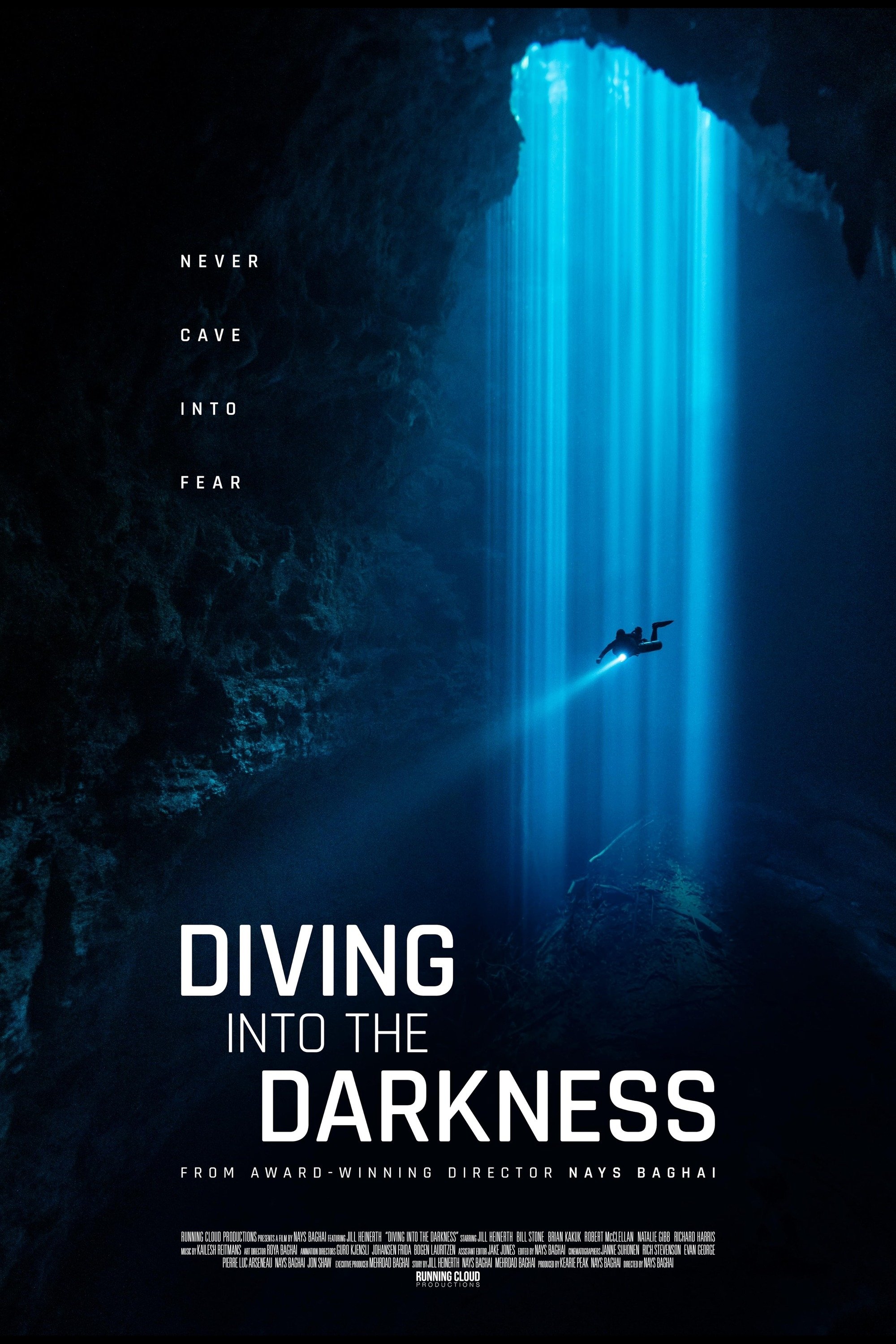 Diving Into The Darkness - Bild 1 von 3