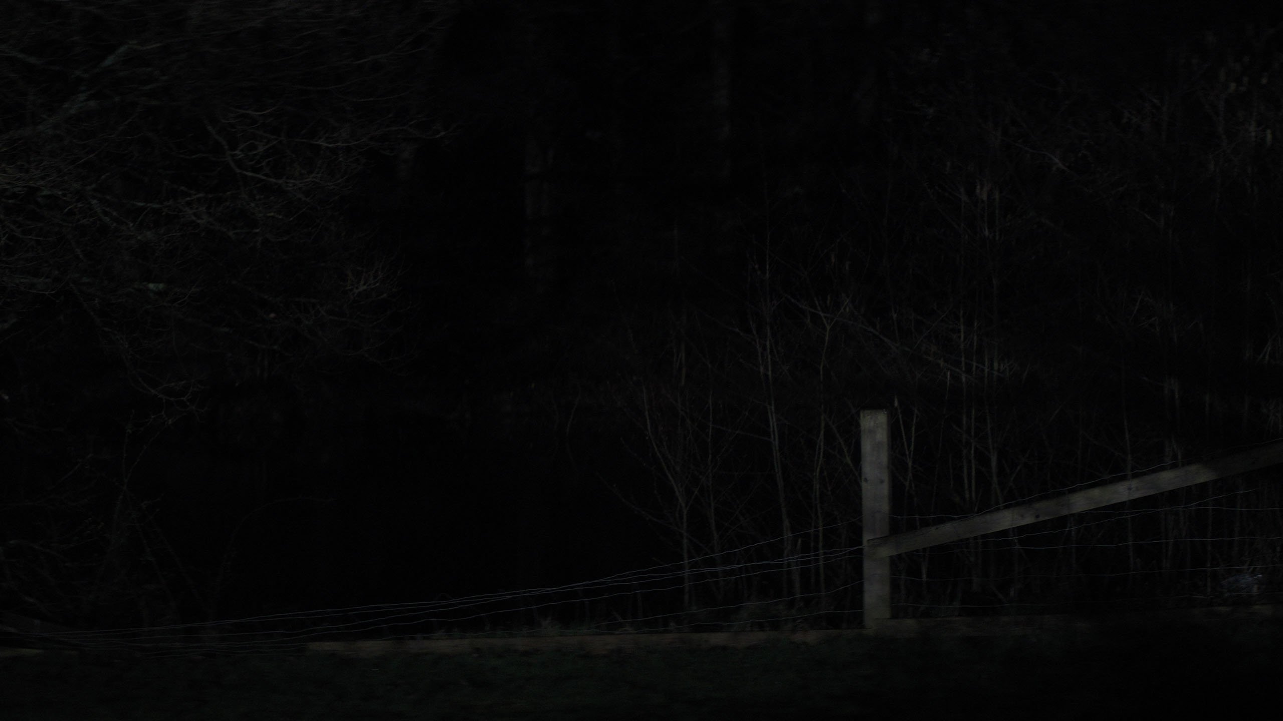 Thumbnail 10 von 11