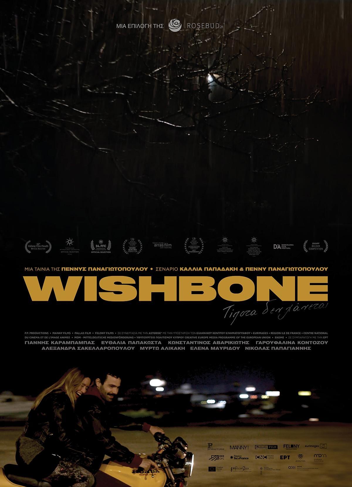 Wishbone - Bild 1 von 11