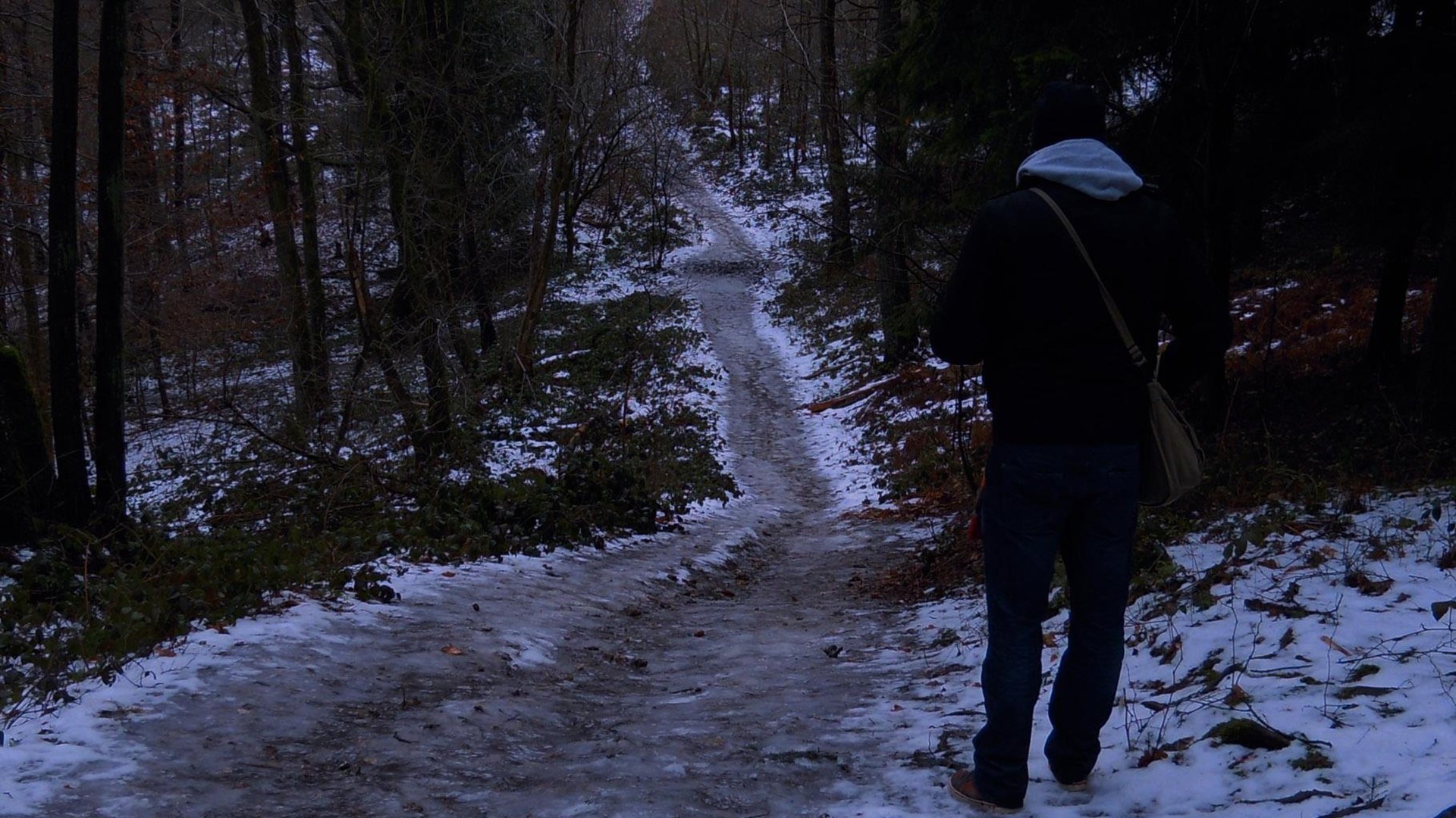 Thumbnail 3 von 5
