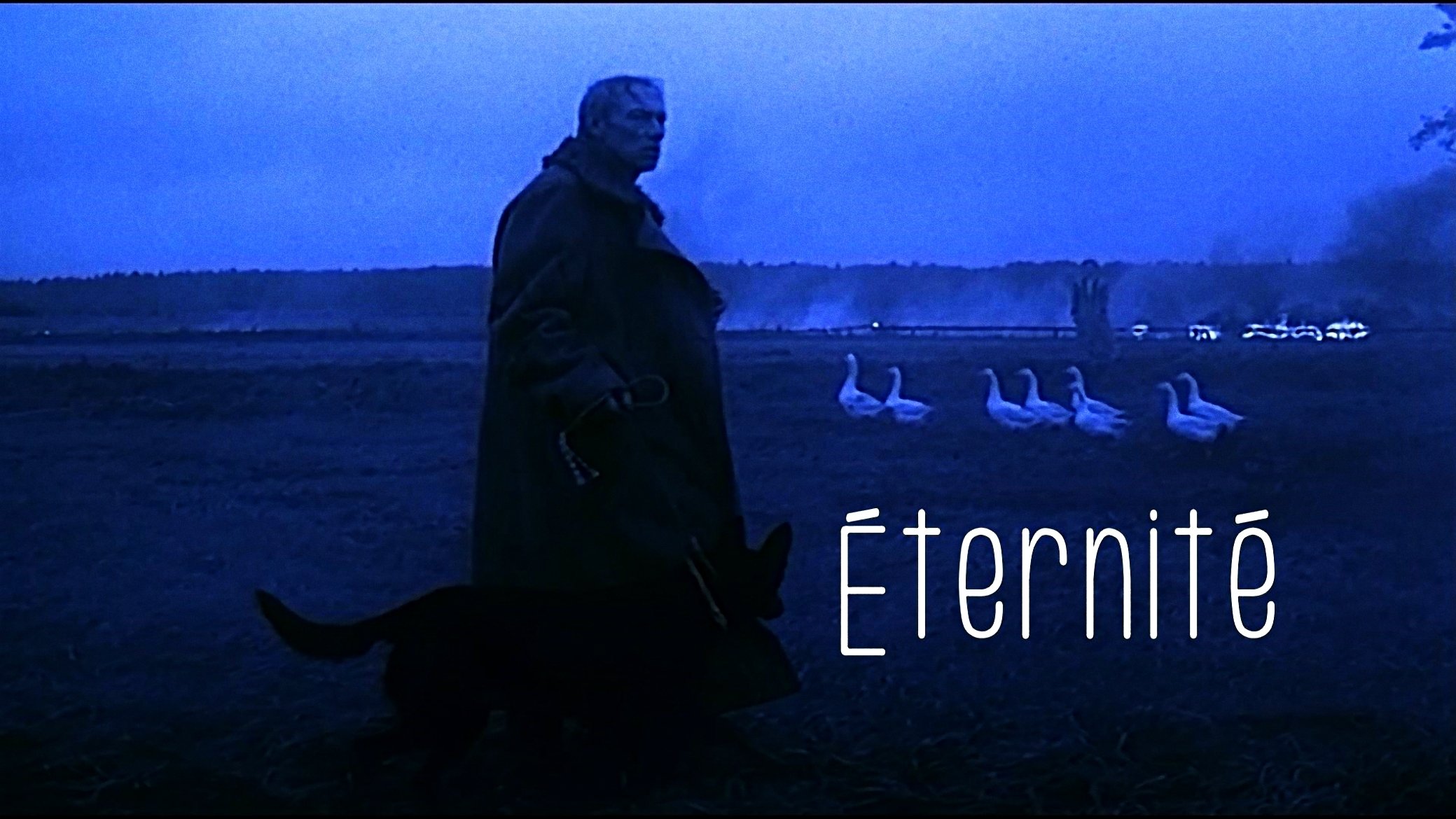 Thumbnail 2 von 3