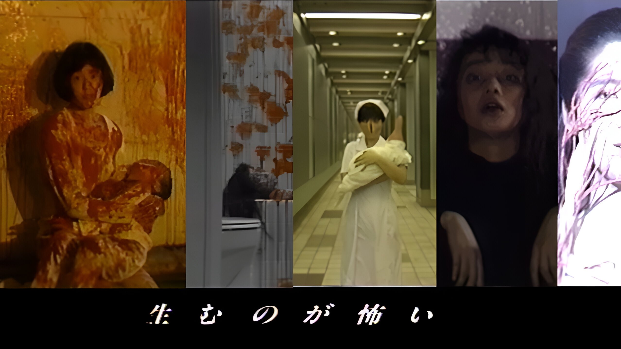 Thumbnail 2 von 5