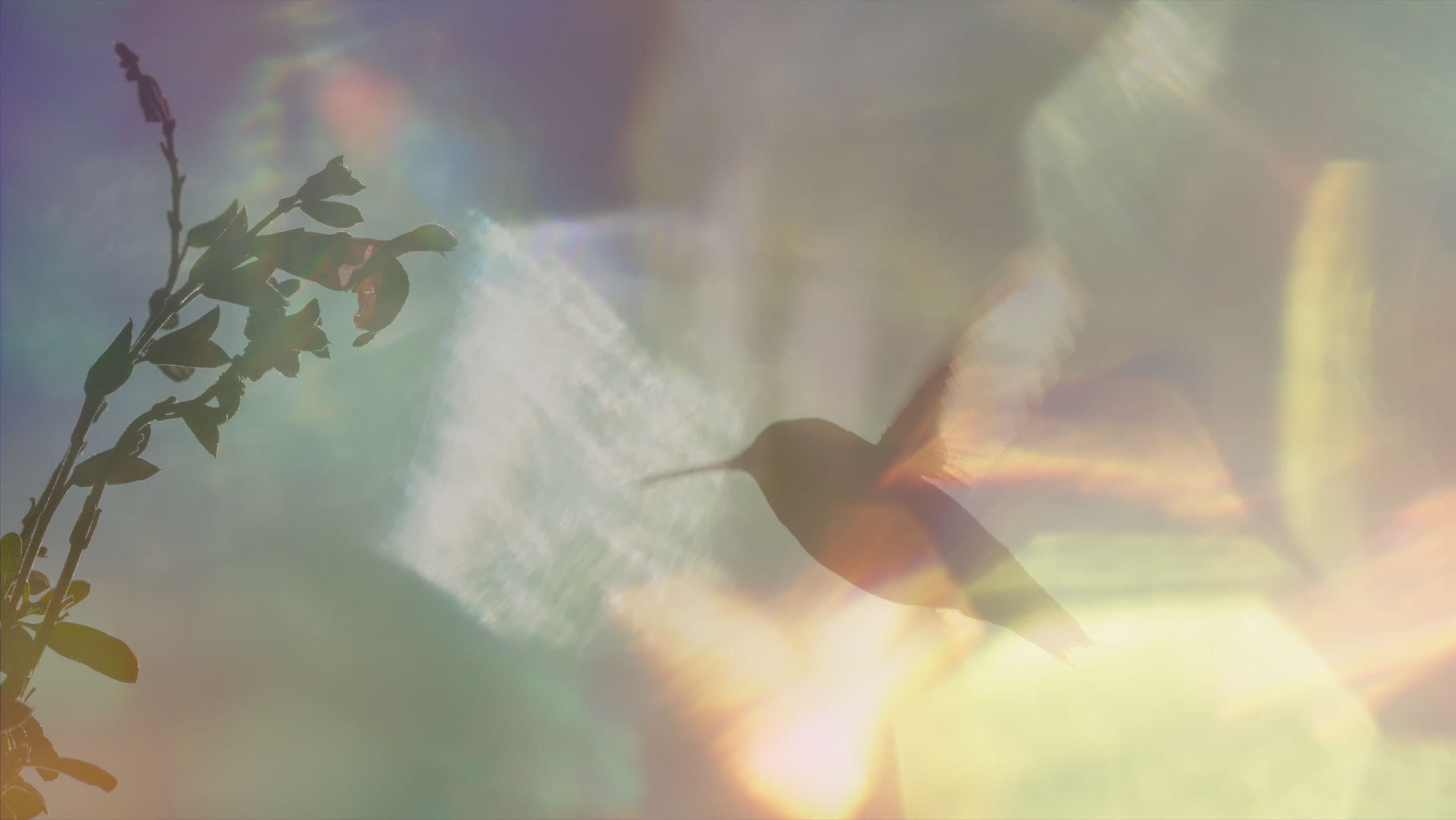 Thumbnail 6 von 13