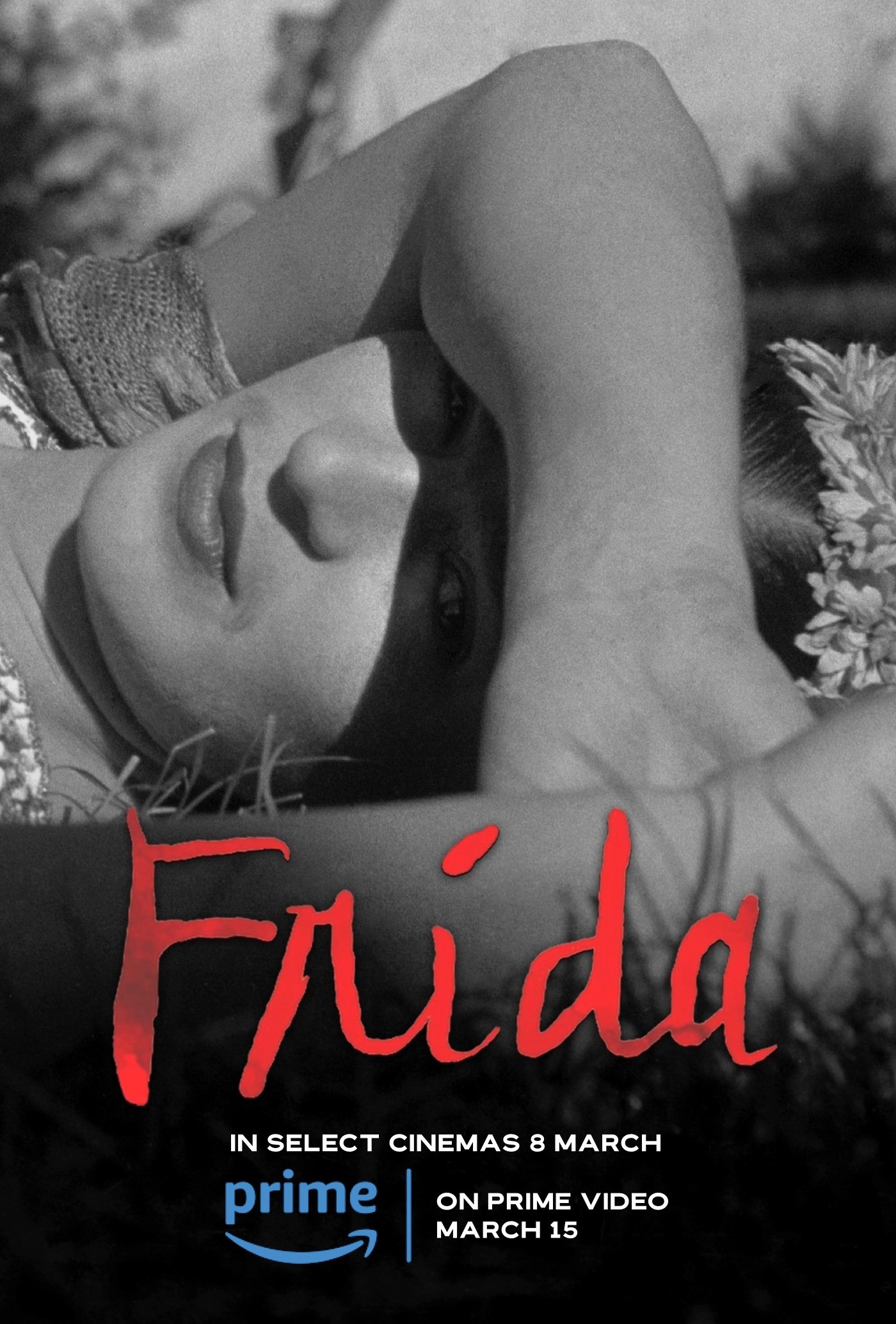 Thumbnail 5 von 15
