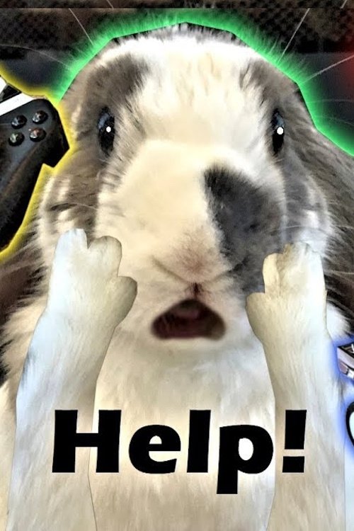 Thumbnail 2 von 3