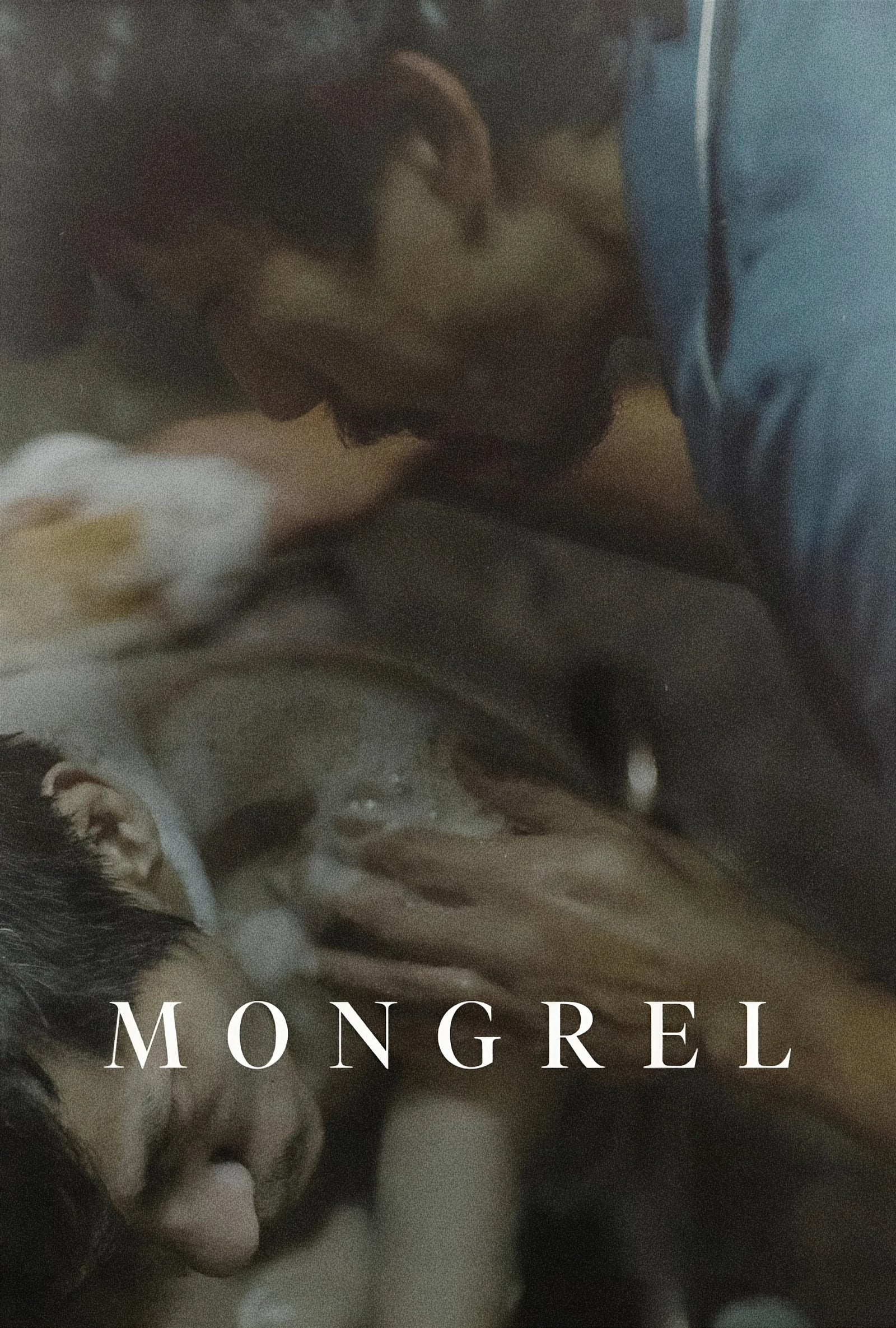 Mongrel - Bild 1 von 11
