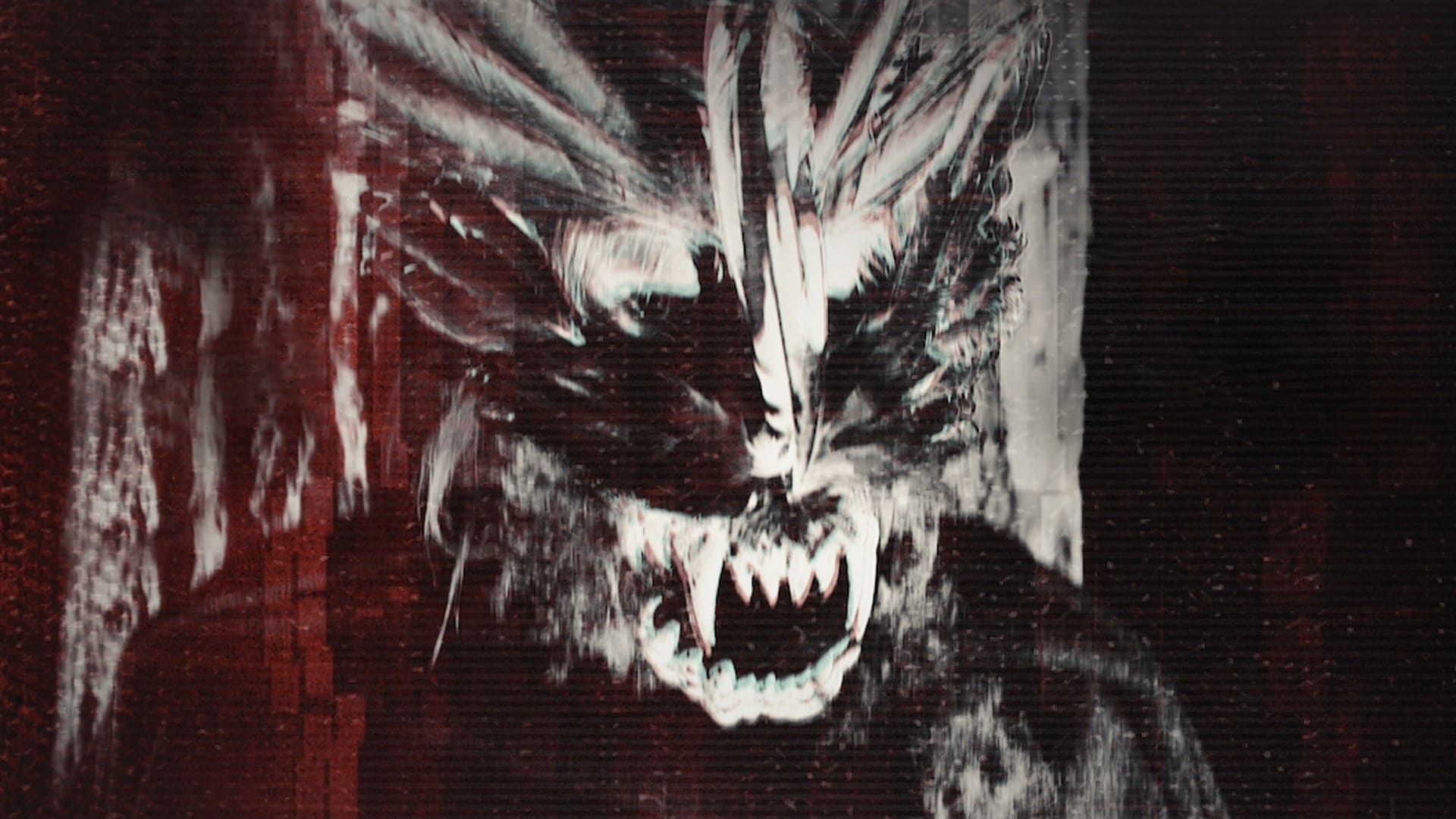 Thumbnail 9 von 11