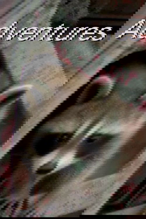 Thumbnail 2 von 5