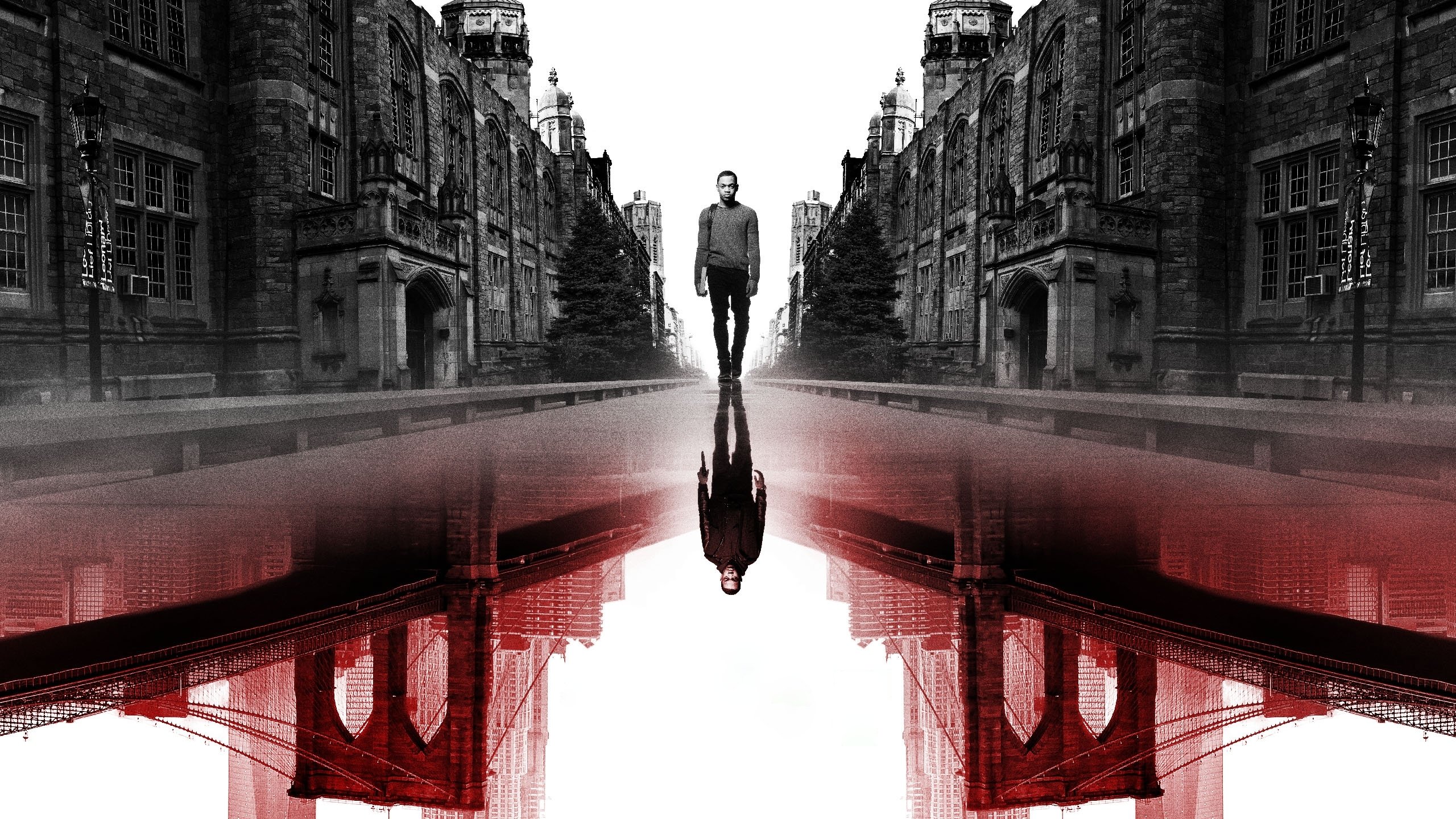Thumbnail 8 von 11