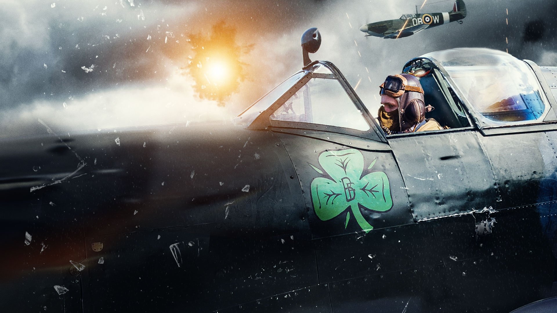 Thumbnail 11 von 11