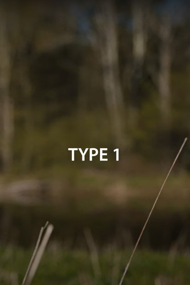 Thumbnail 2 von 3
