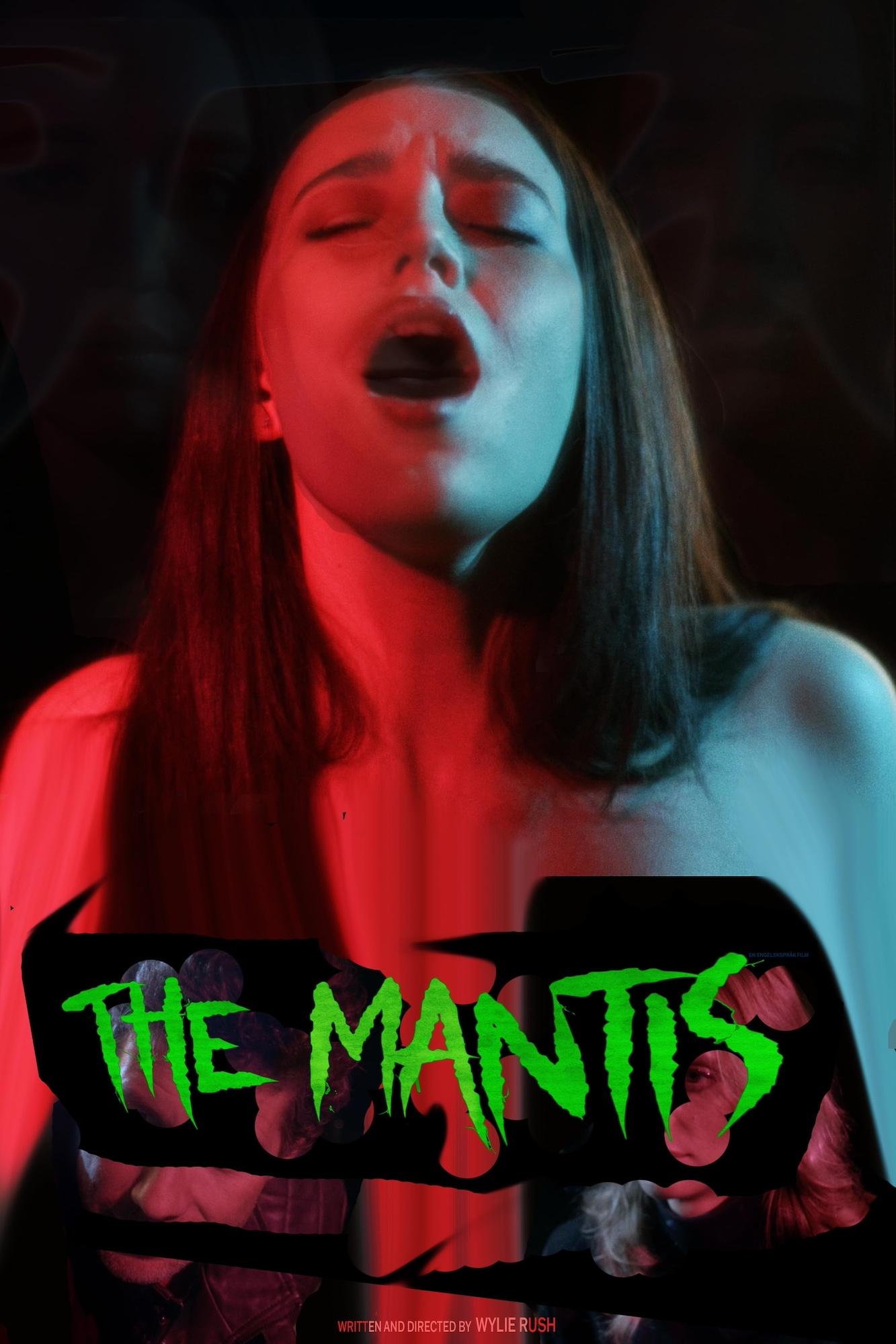 Thumbnail 2 von 3