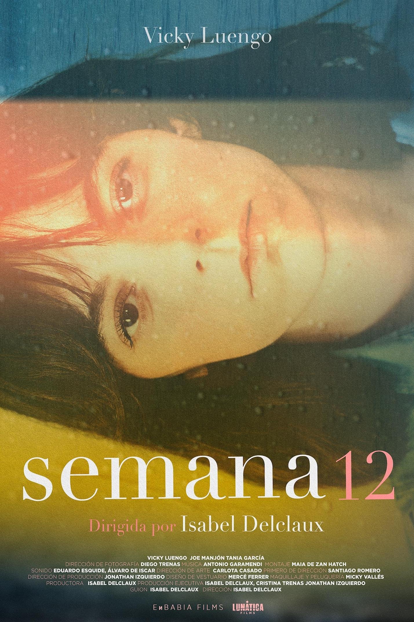 Thumbnail 3 von 5