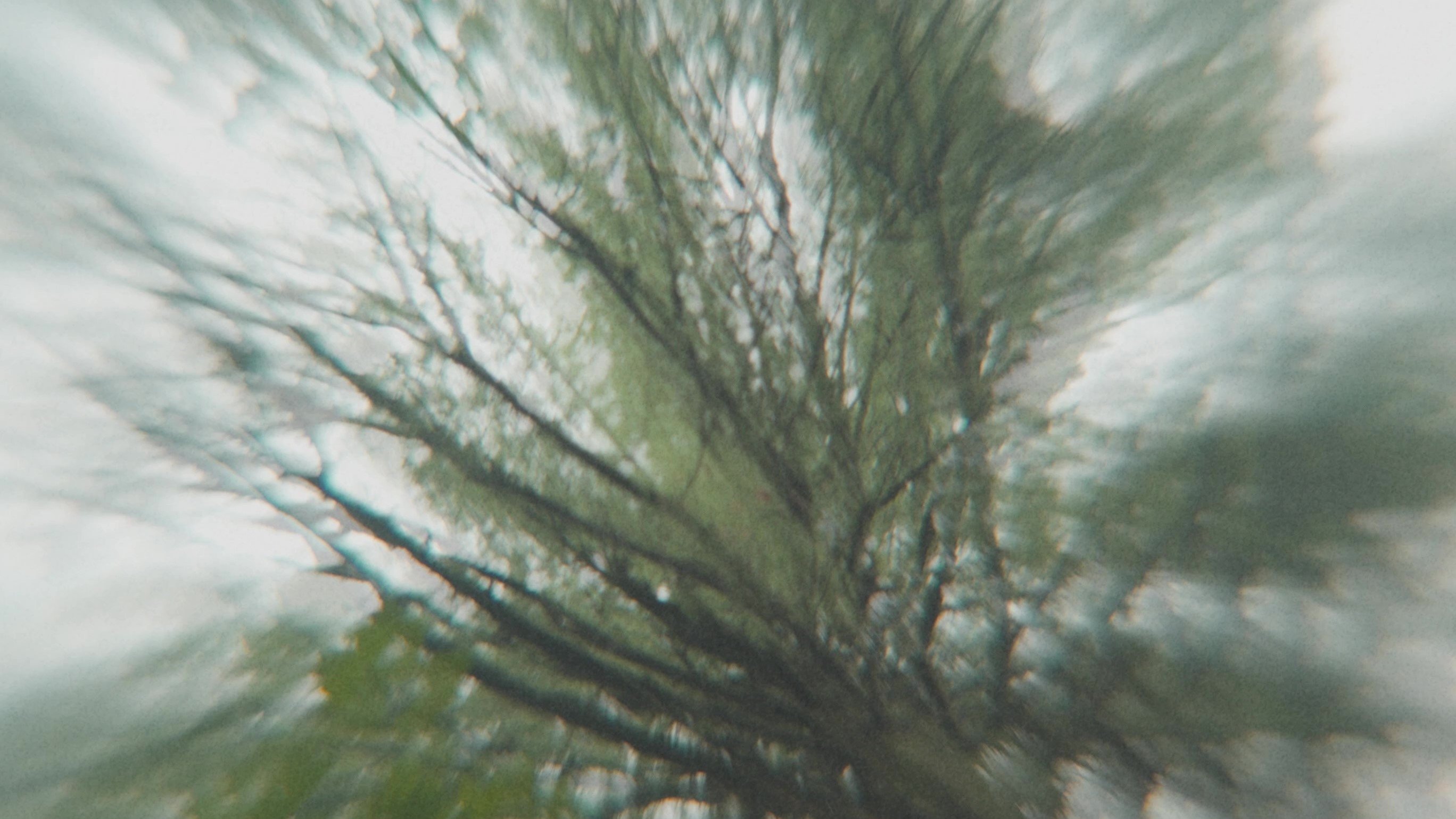 Thumbnail 5 von 11