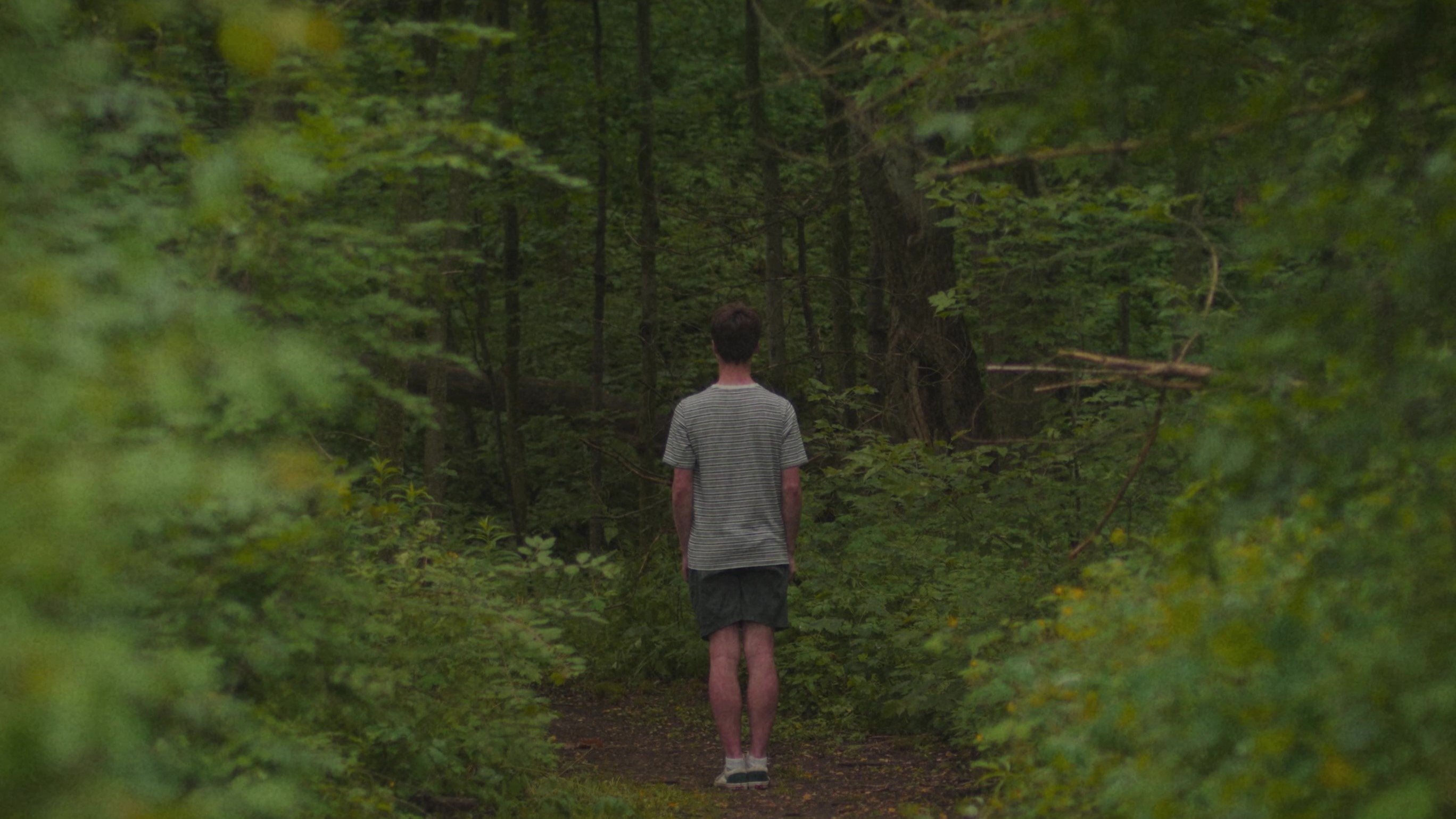 Thumbnail 3 von 11