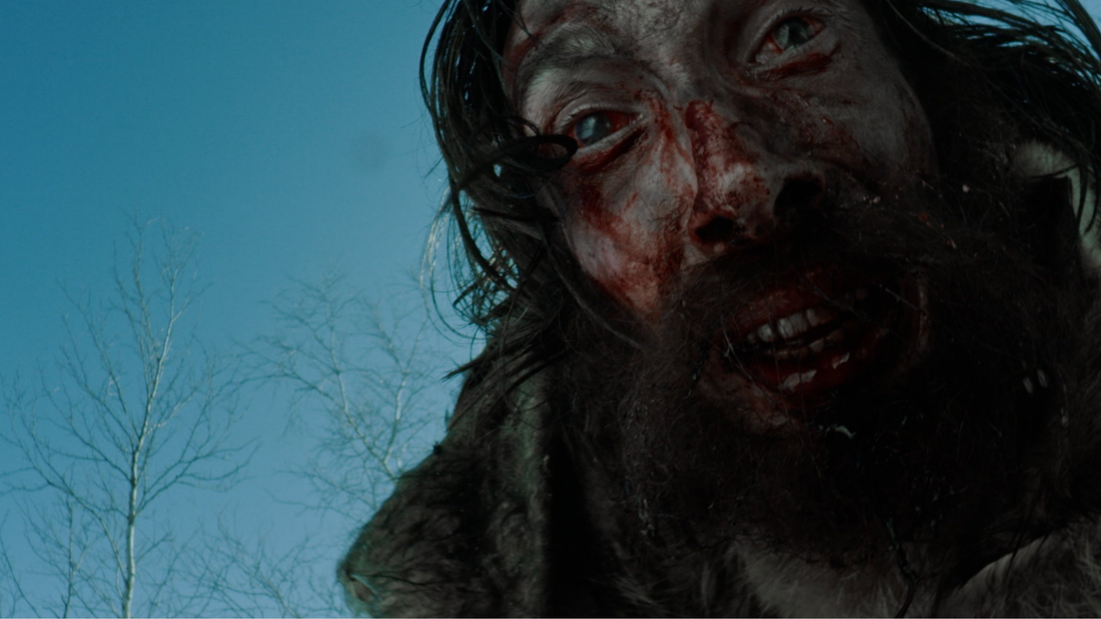 Thumbnail 6 von 11