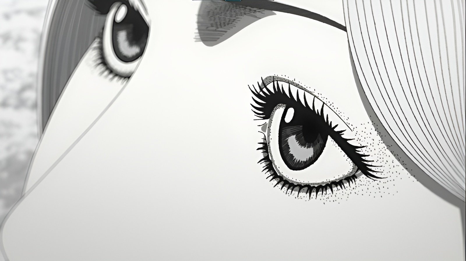 Thumbnail 5 von 11