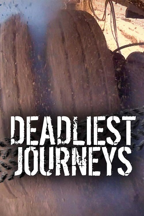 Thumbnail 3 von 7