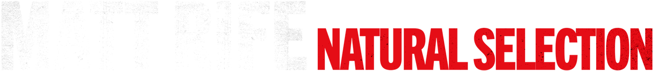 Thumbnail 11 von 11