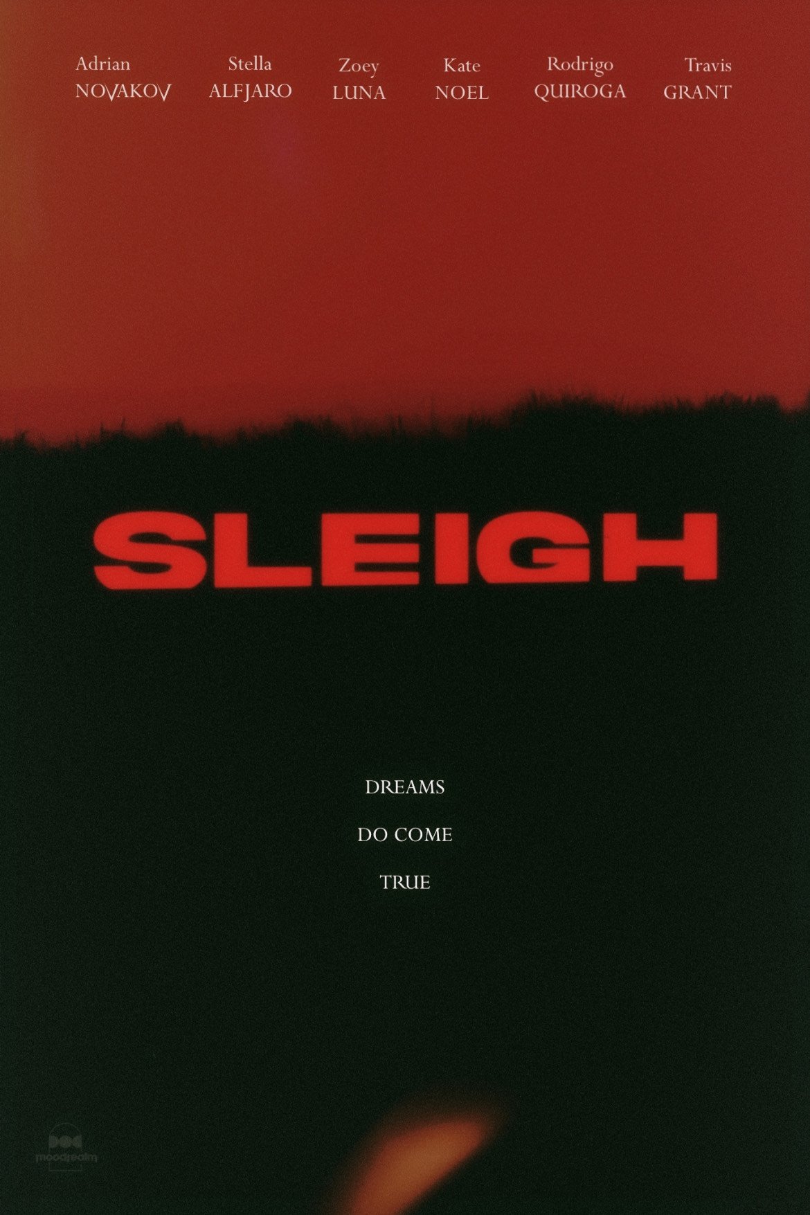 Sleigh - Bild 1 von 3