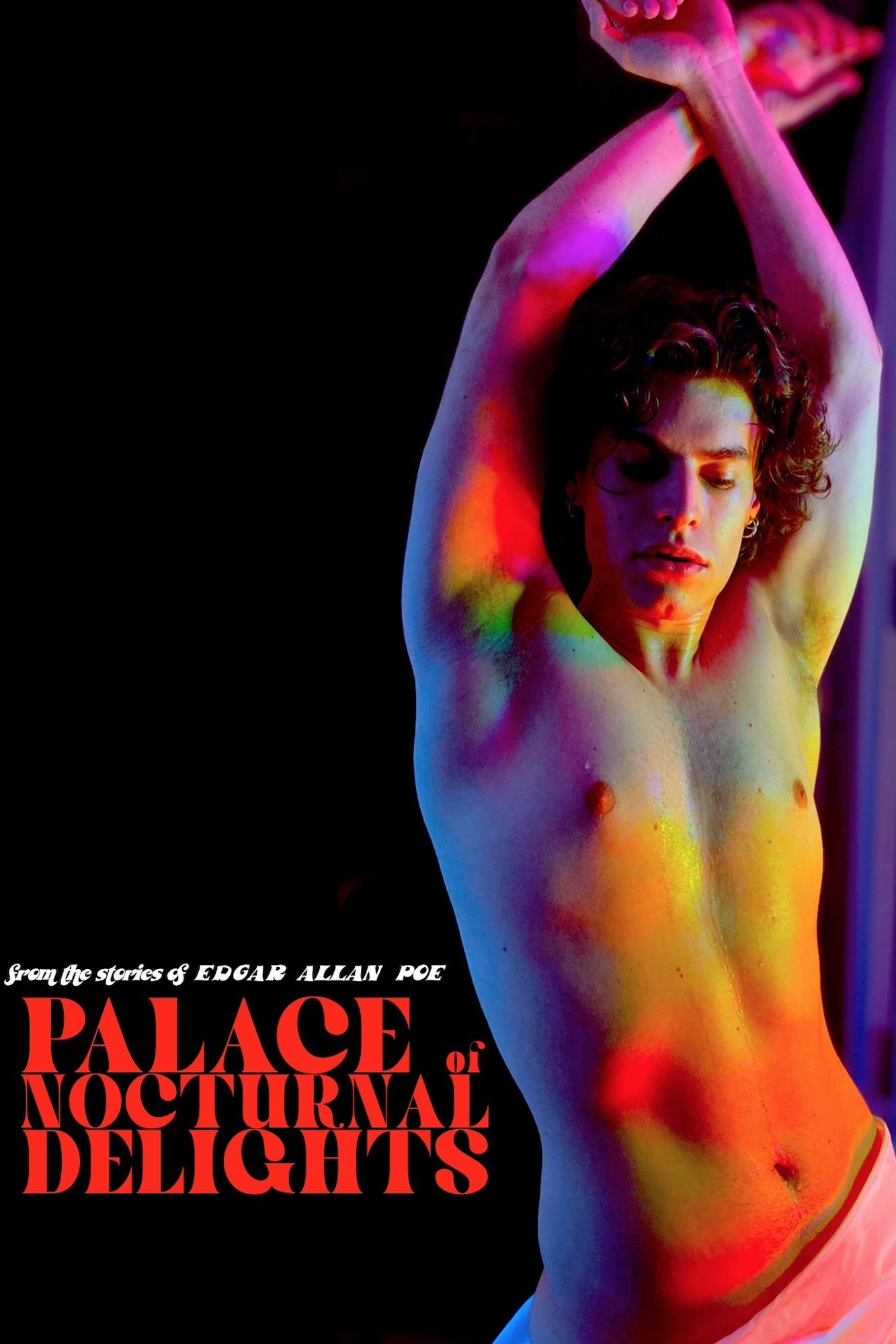 Palace of Nocturnal Delights - Bild 1 von 5