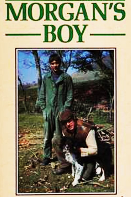Morgan's Boy - Bild 1 von 3