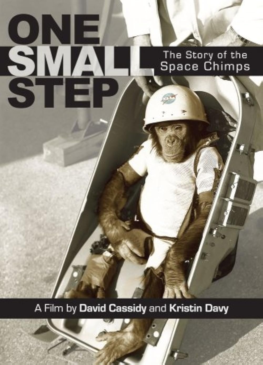 One Small Step: The Story of the Space Chimps - Bild 1 von 5