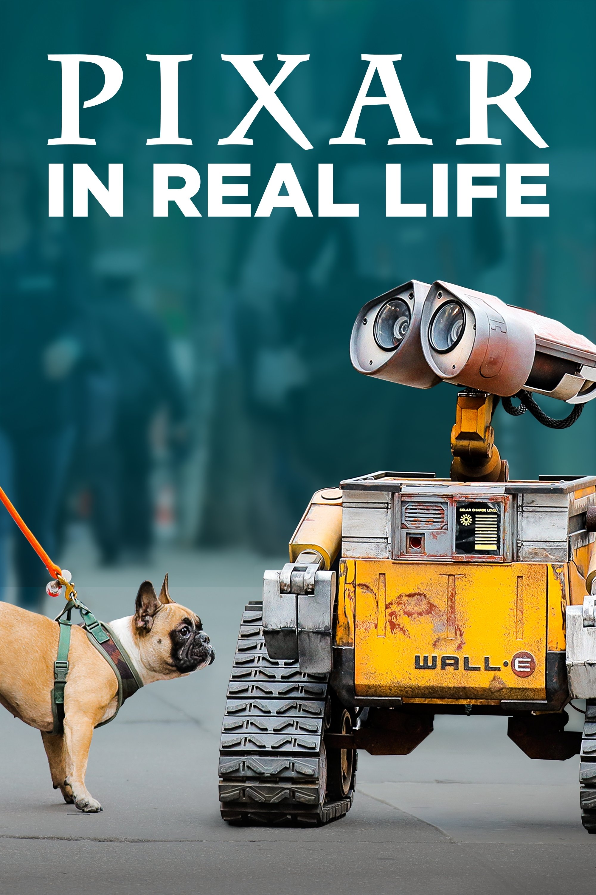 Pixar in Real Life - Bild 1 von 13
