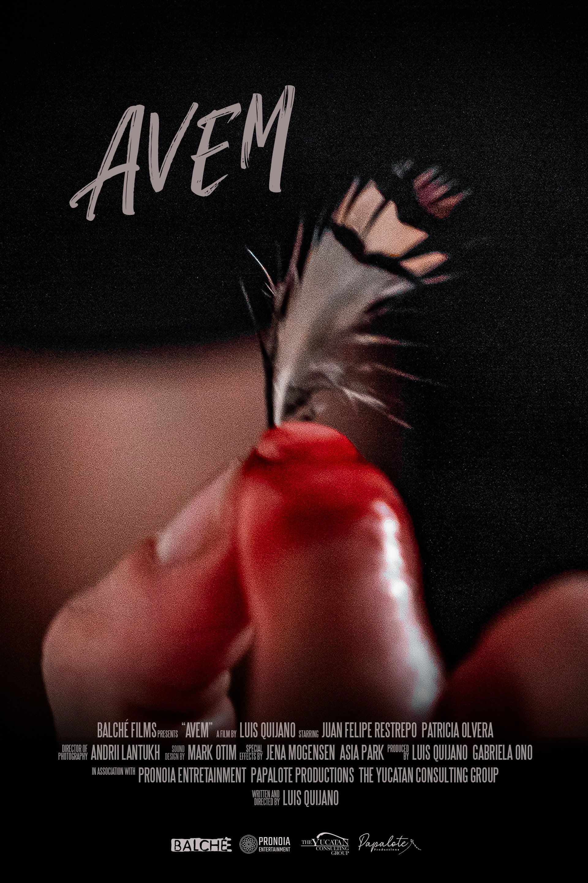 Avem - Bild 1 von 5