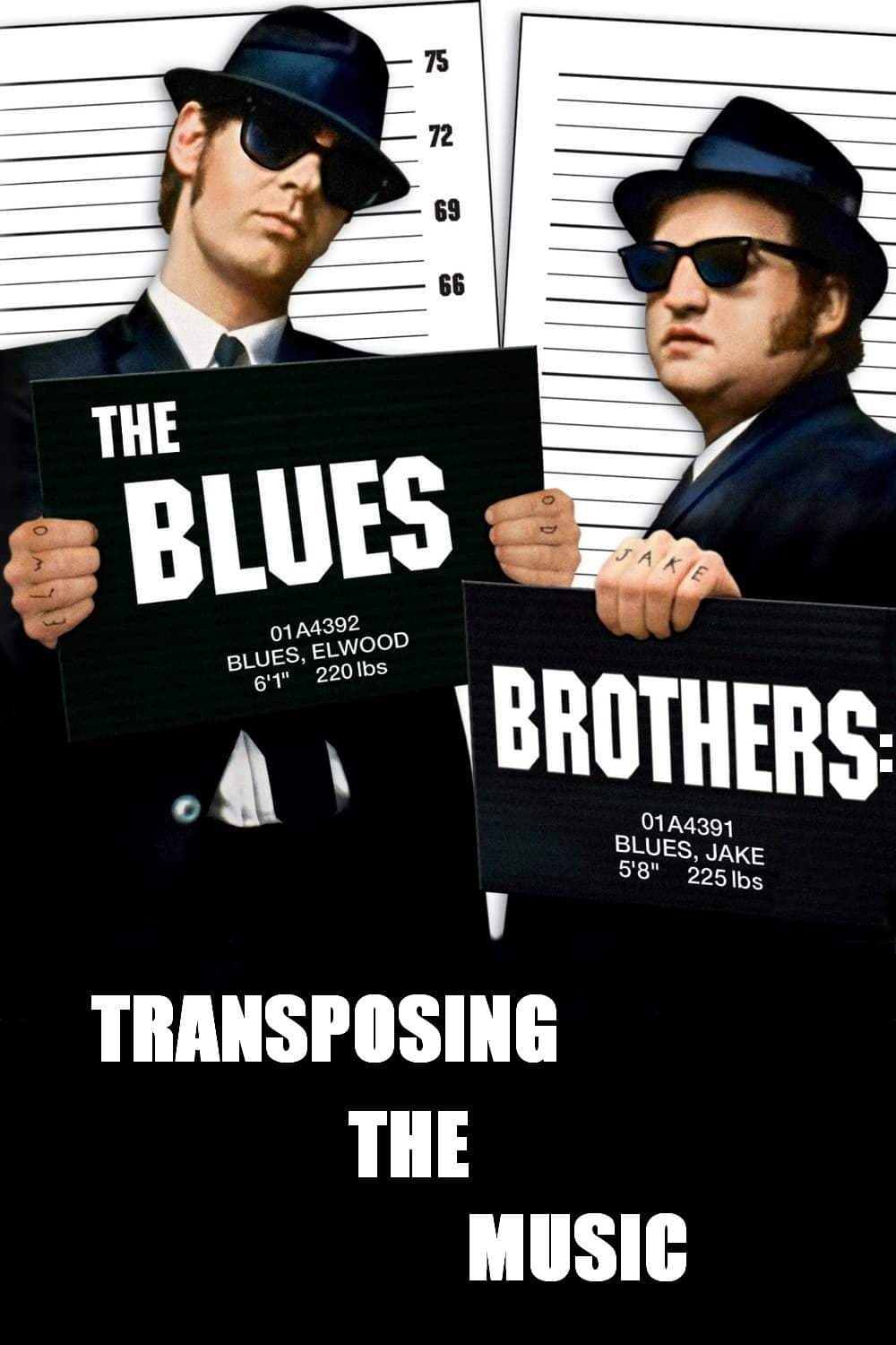 The Blues Brothers: Transposing The Music - Bild 1 von 3