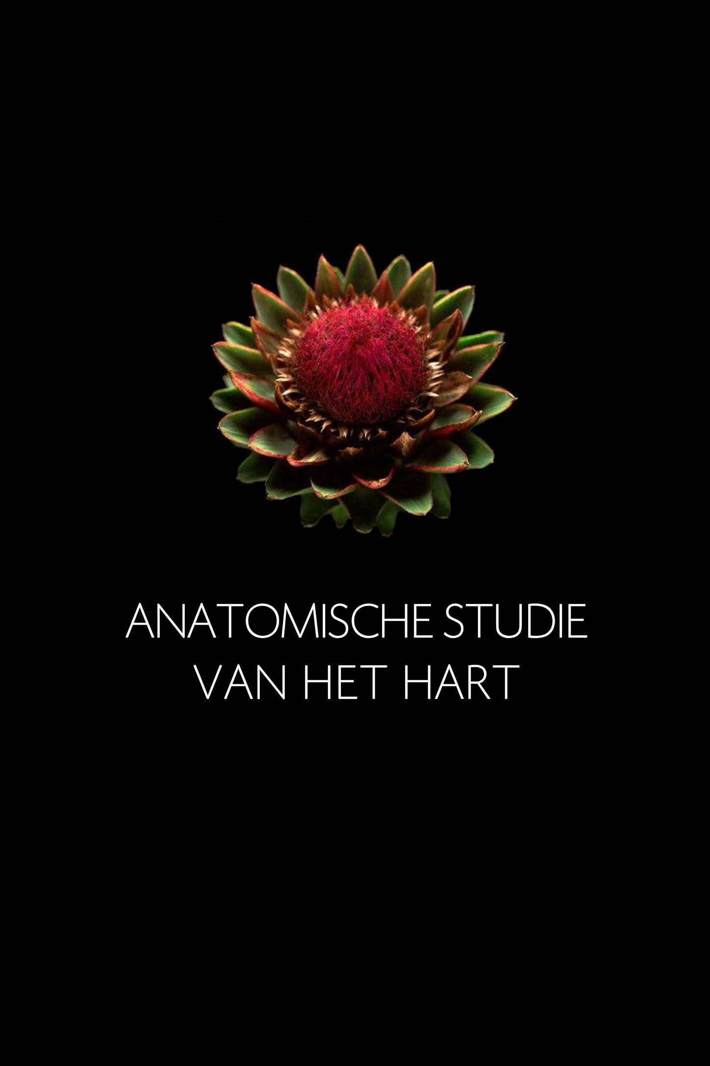 Anatomische Studie van het Hart - Bild 1 von 5