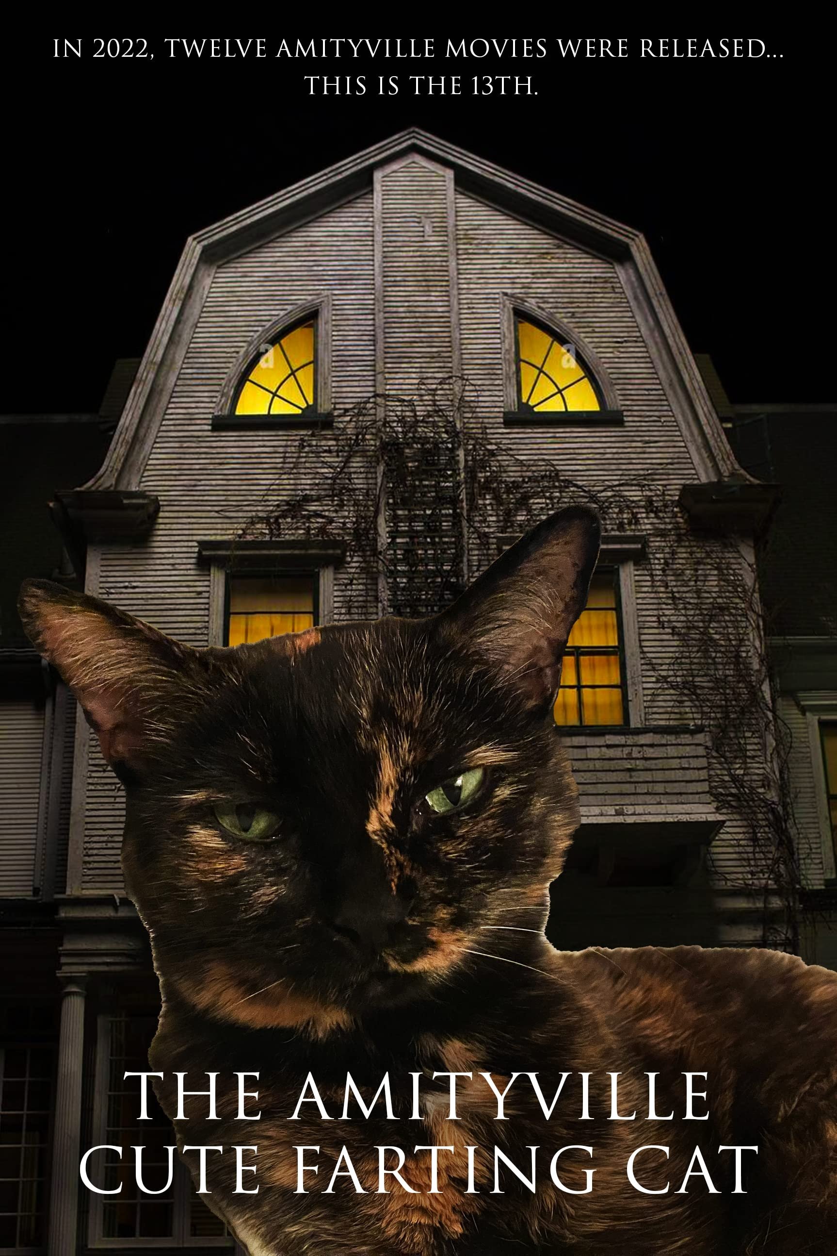 The Amityville Cute Farting Cat - Bild 1 von 3