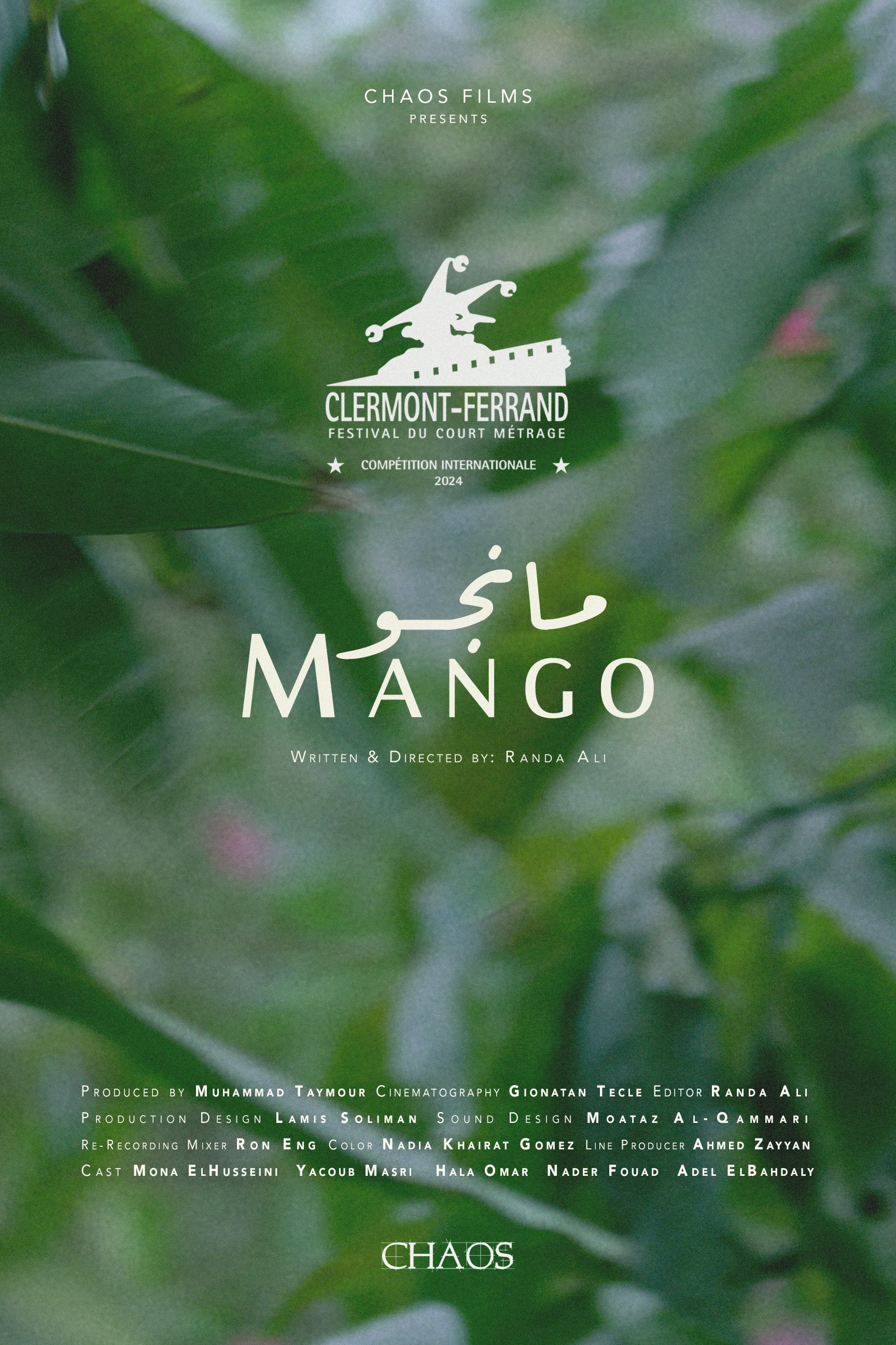 Mango - Bild 1 von 5