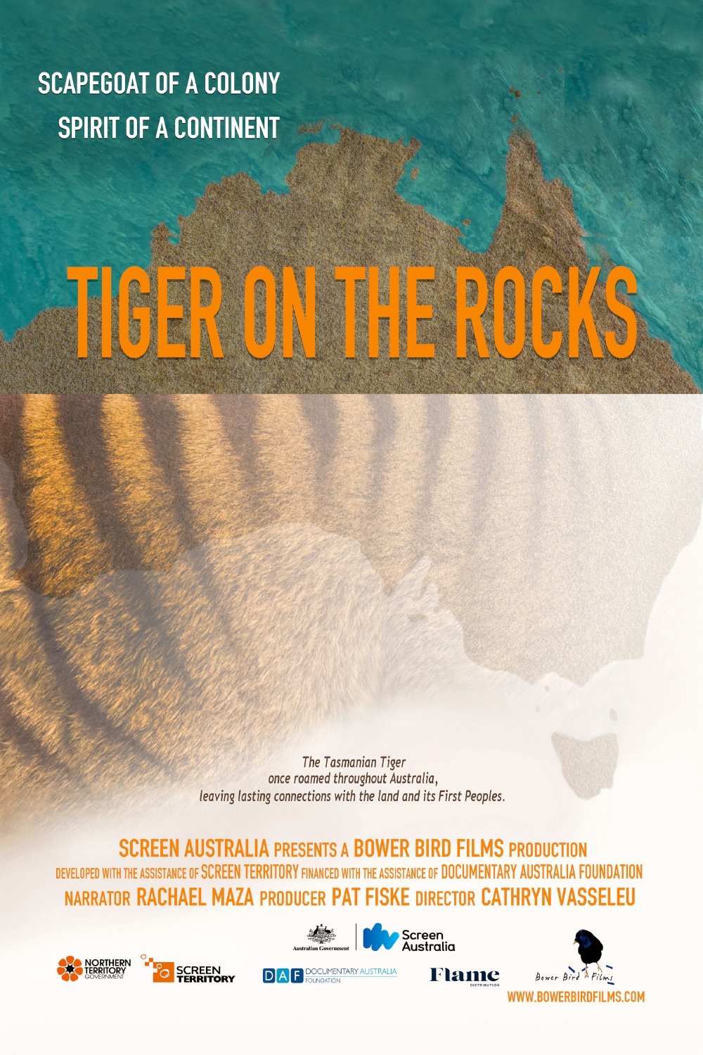 Tiger on the Rocks - Bild 1 von 11