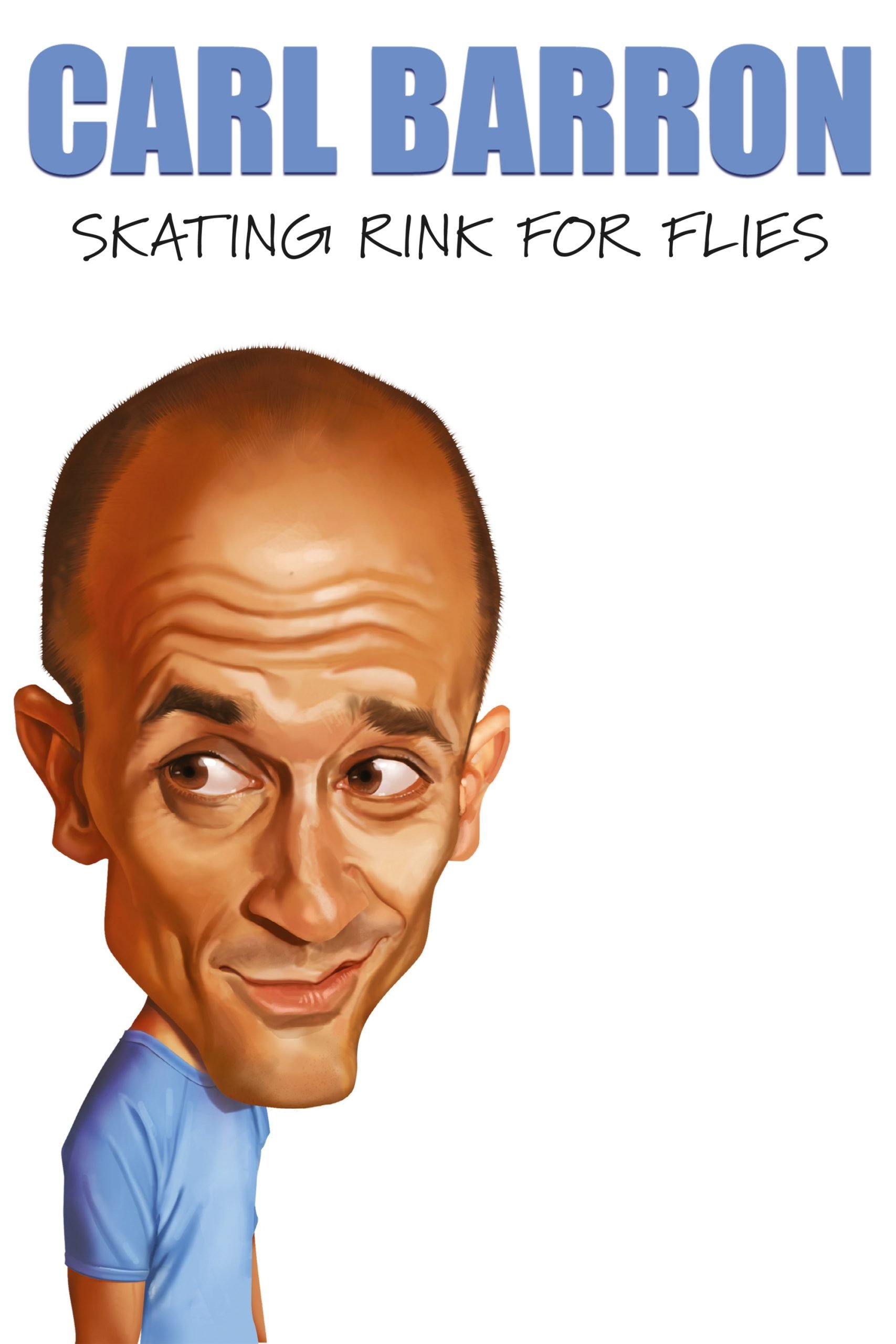 Carl Barron: Skating Rink for Flies - Bild 1 von 5