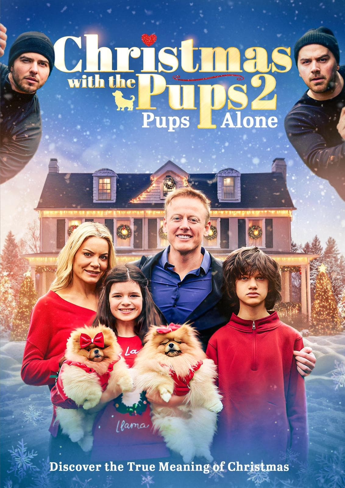 Christmas with the Pups 2: Pups Alone - Bild 1 von 3