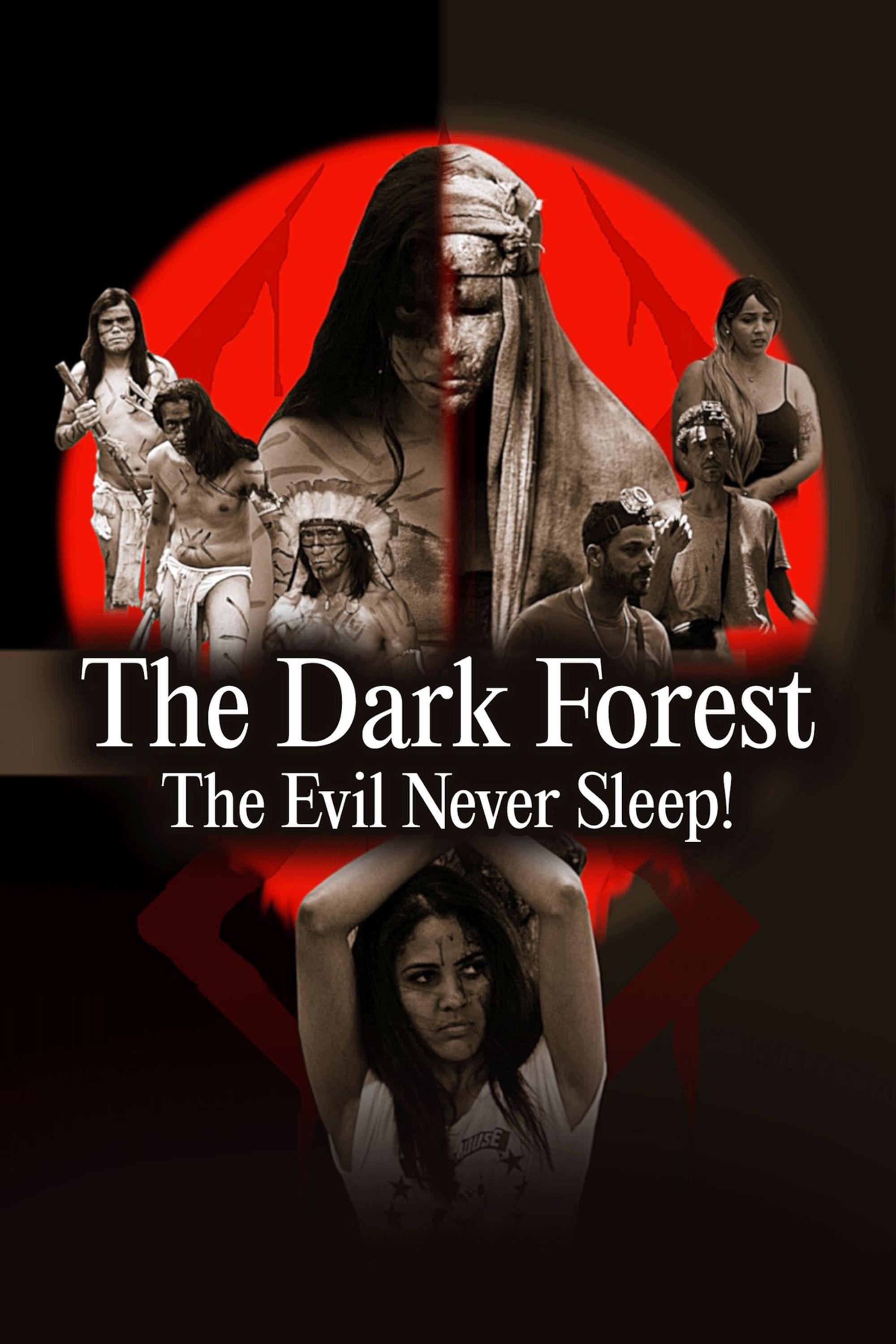 The Dark Forest: The Evil Never Sleep! - Bild 1 von 13