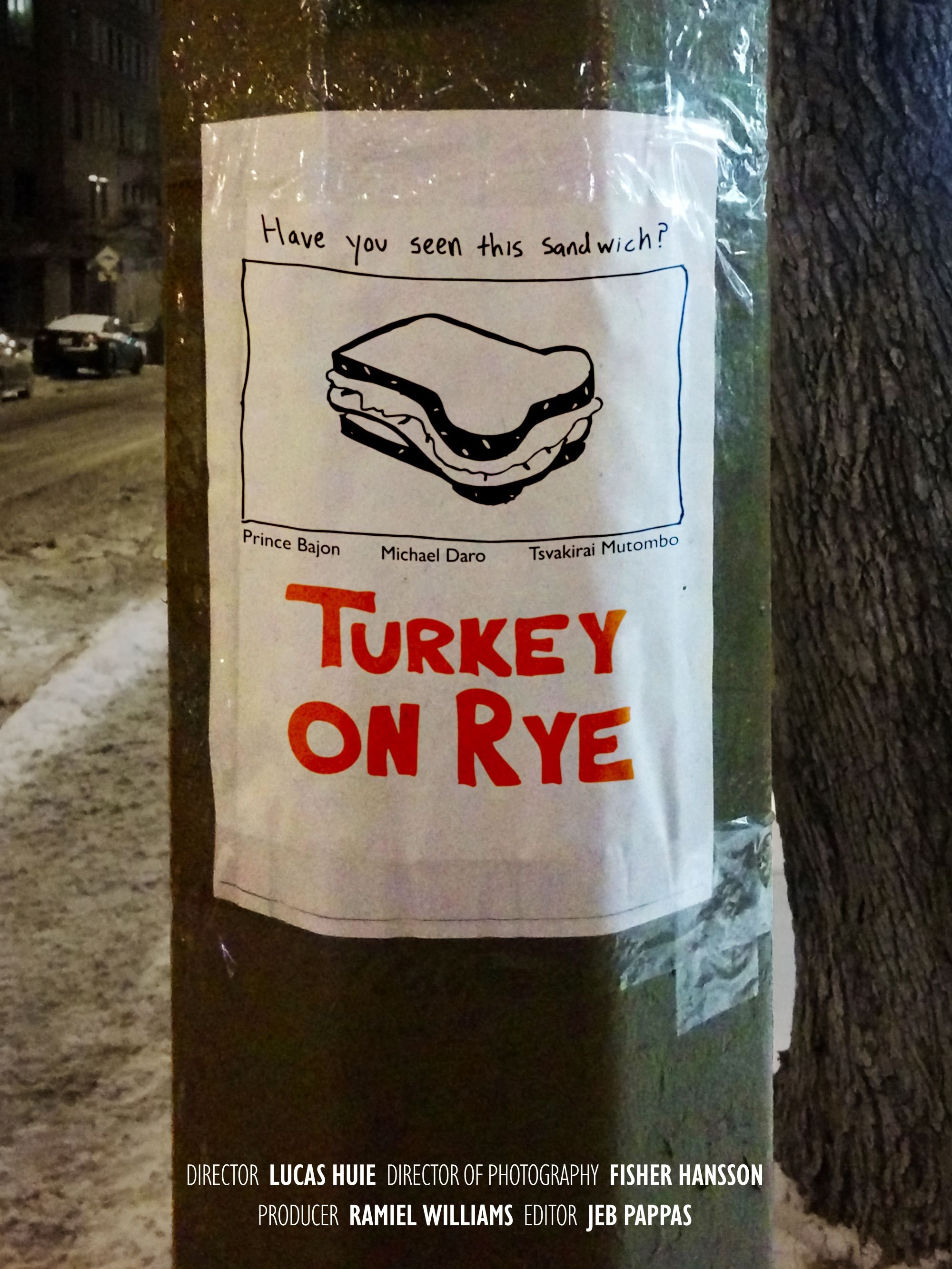 Turkey on Rye - Bild 1 von 3