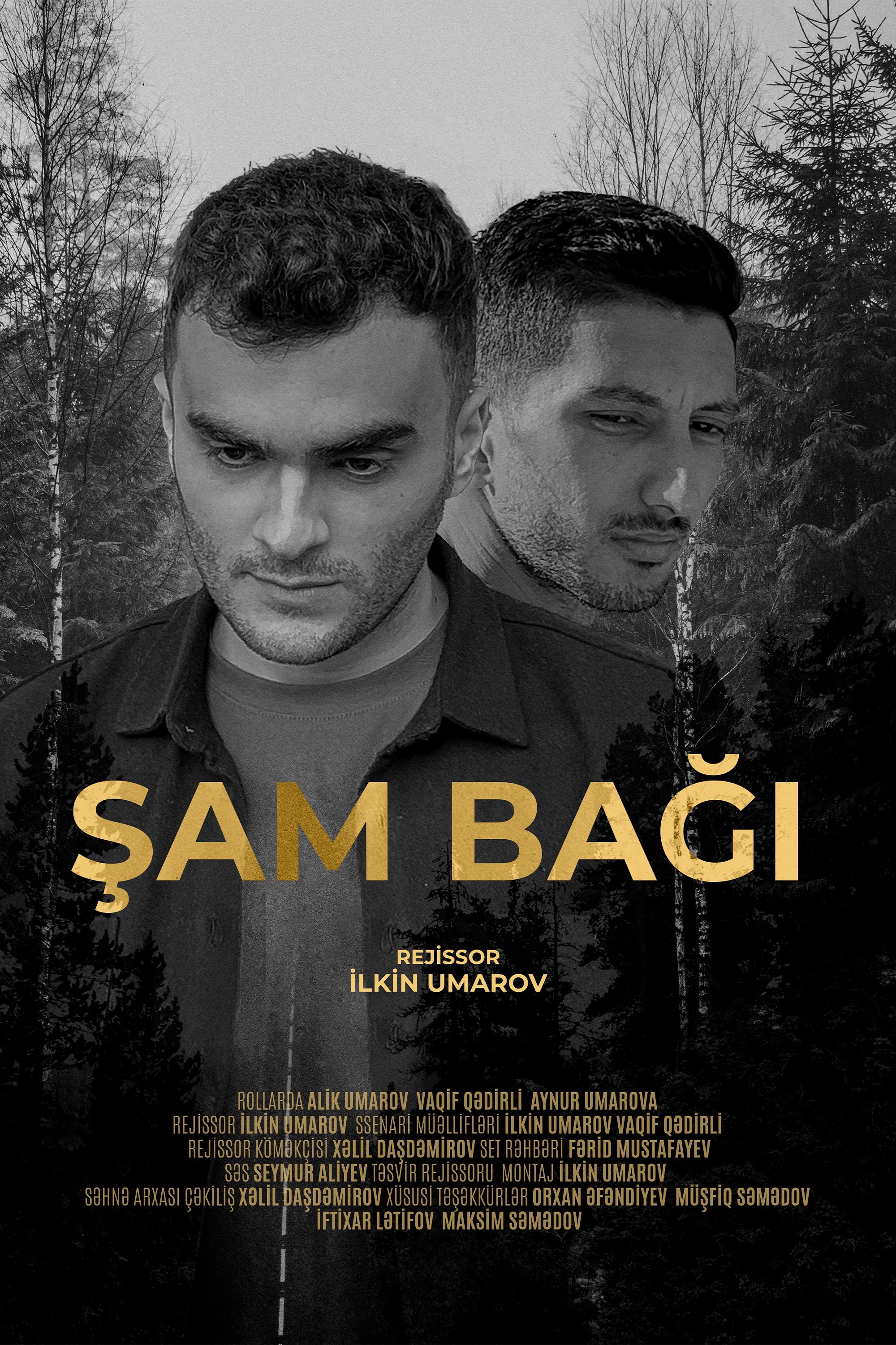 Şam Bağı - Bild 1 von 7