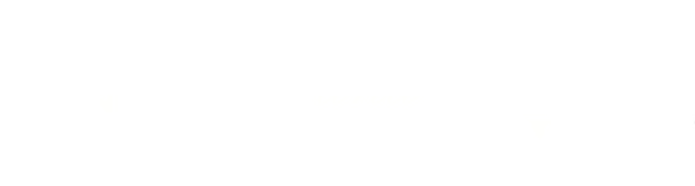 Thumbnail 13 von 17