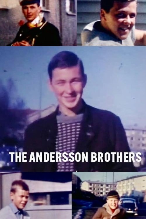 The Andersson Brothers - Bild 1 von 5
