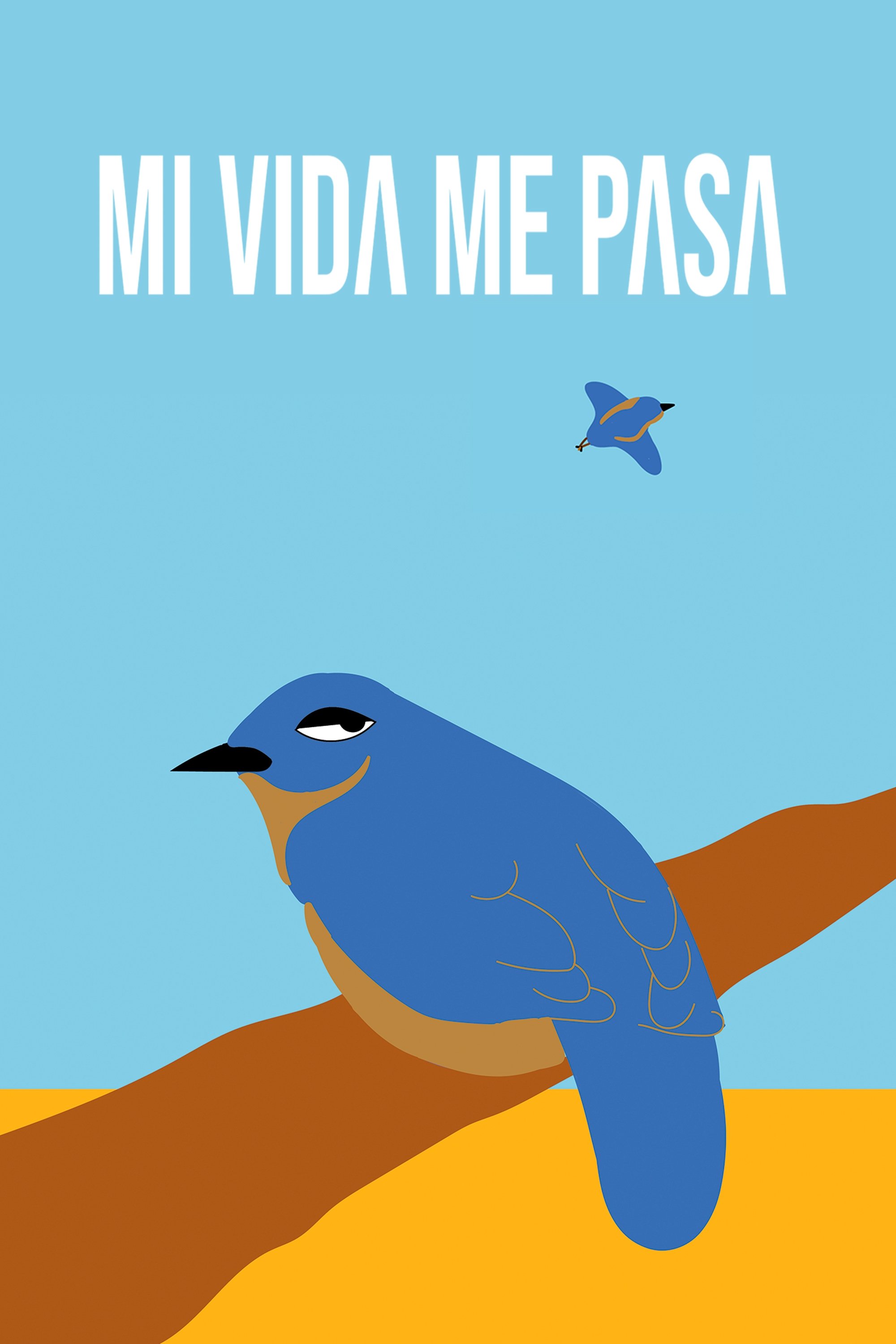 Mi Vida Me Pasa - Bild 1 von 19