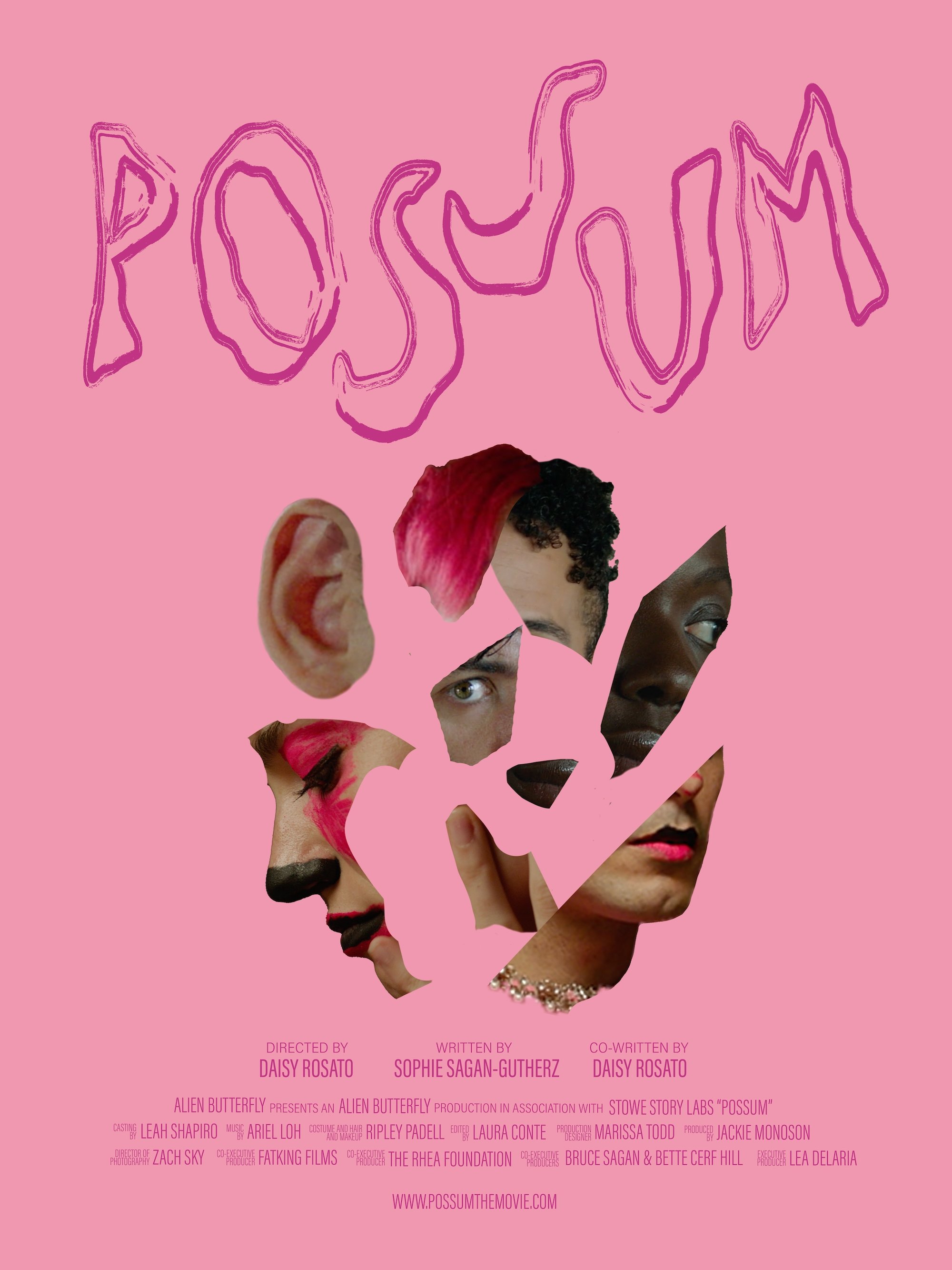 POSSUM - Bild 1 von 9