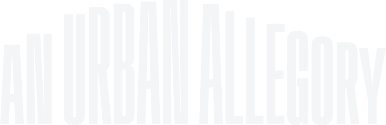 Thumbnail 12 von 17