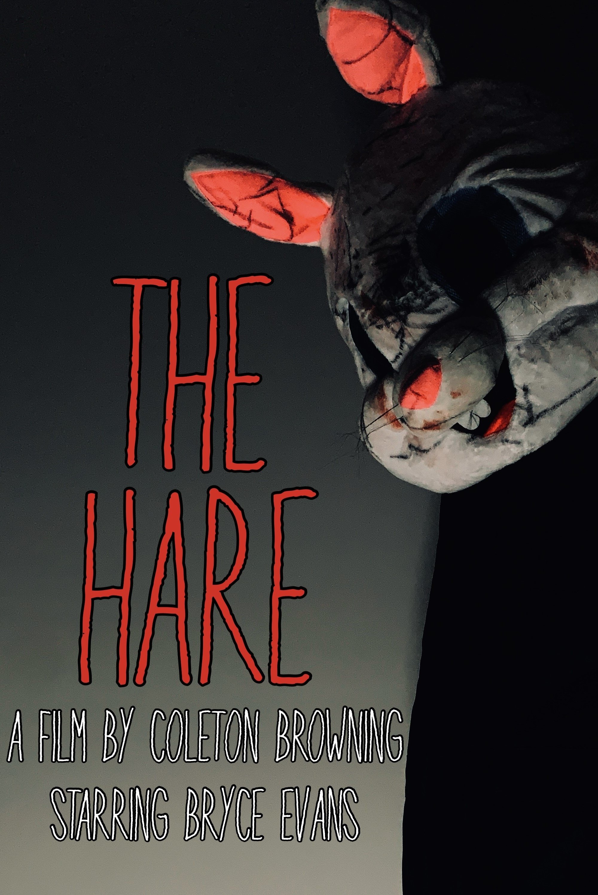 The Hare - Bild 1 von 3