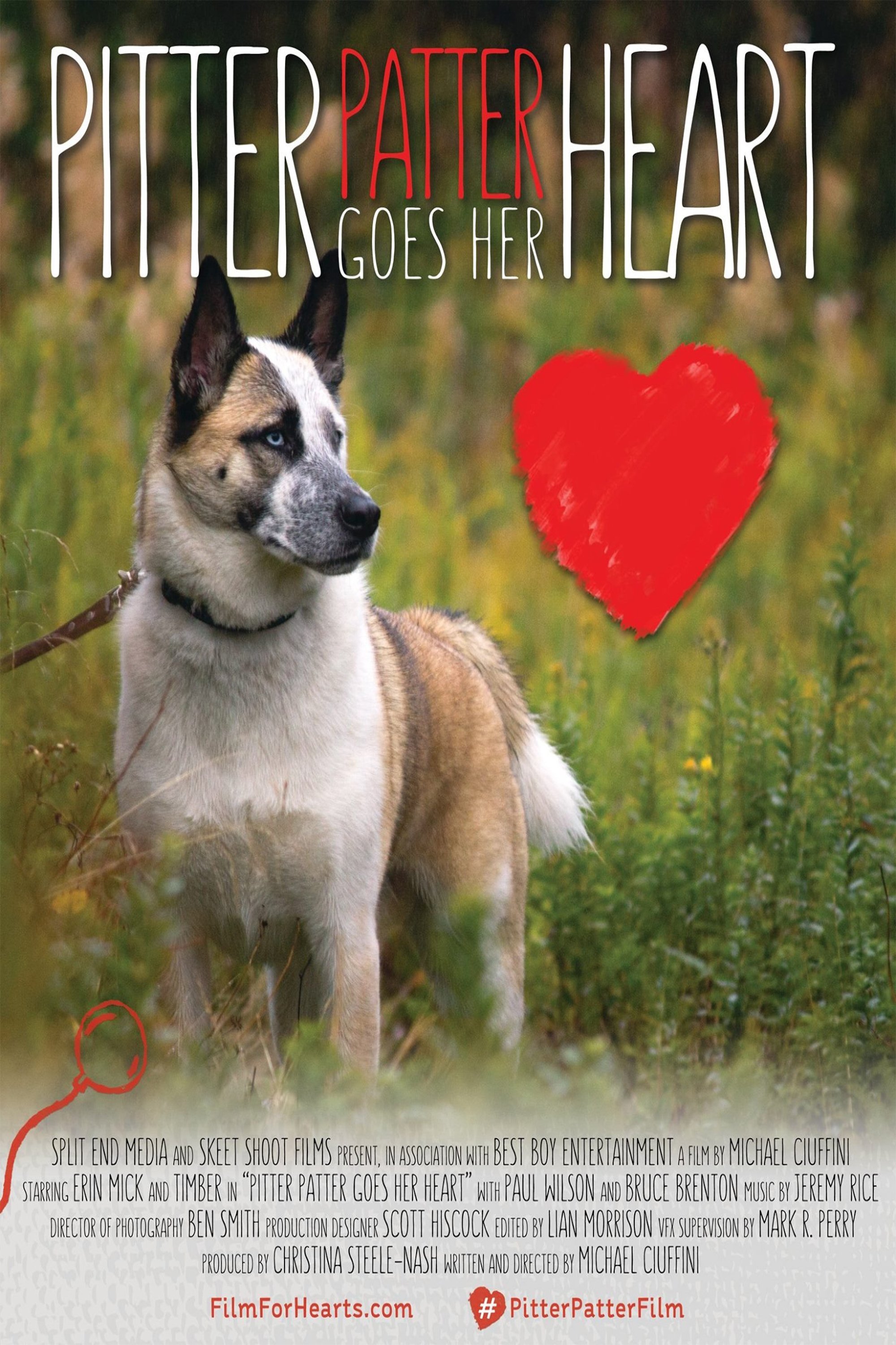 Pitter Patter Goes Her Heart - Bild 1 von 5