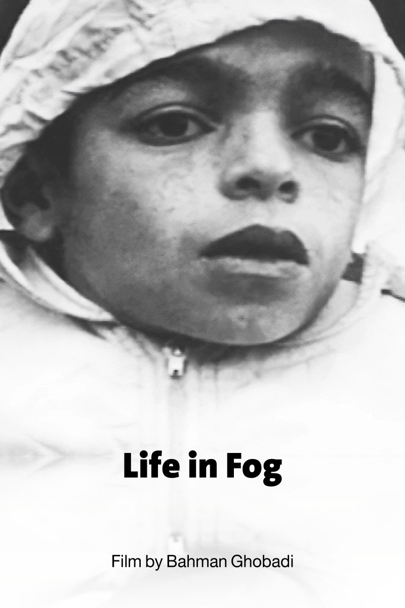 Life in Fog - Bild 1 von 5