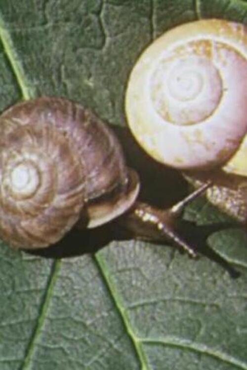 On Closer Inspection - Bild 1 von 5