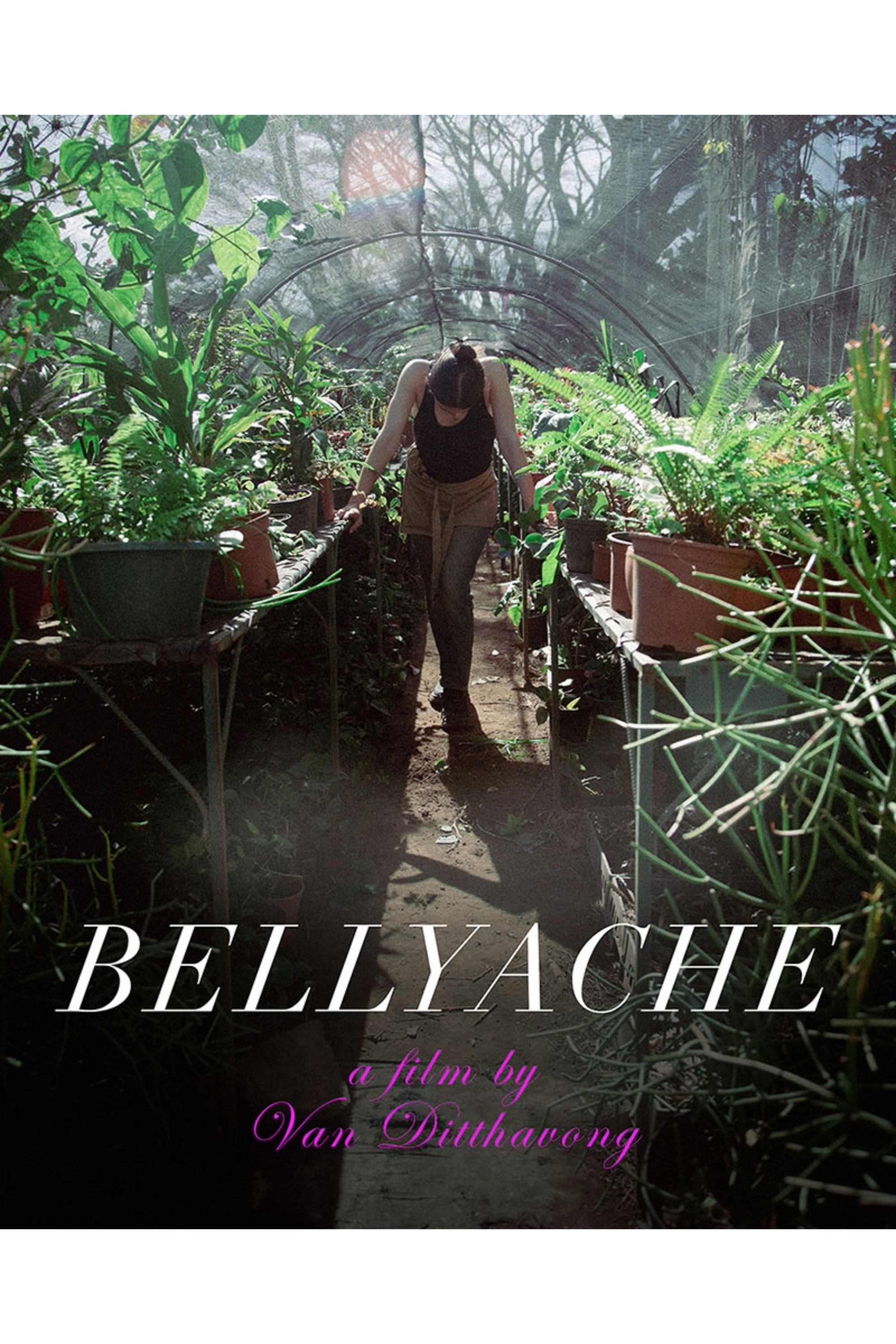 Bellyache - Bild 1 von 3